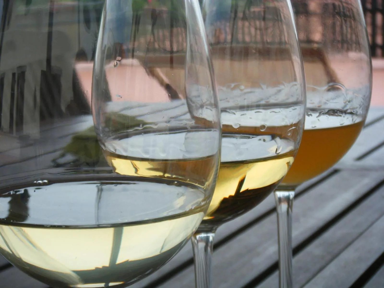 Alcoholic drinks in Agriturismo Grillo Iole Winery