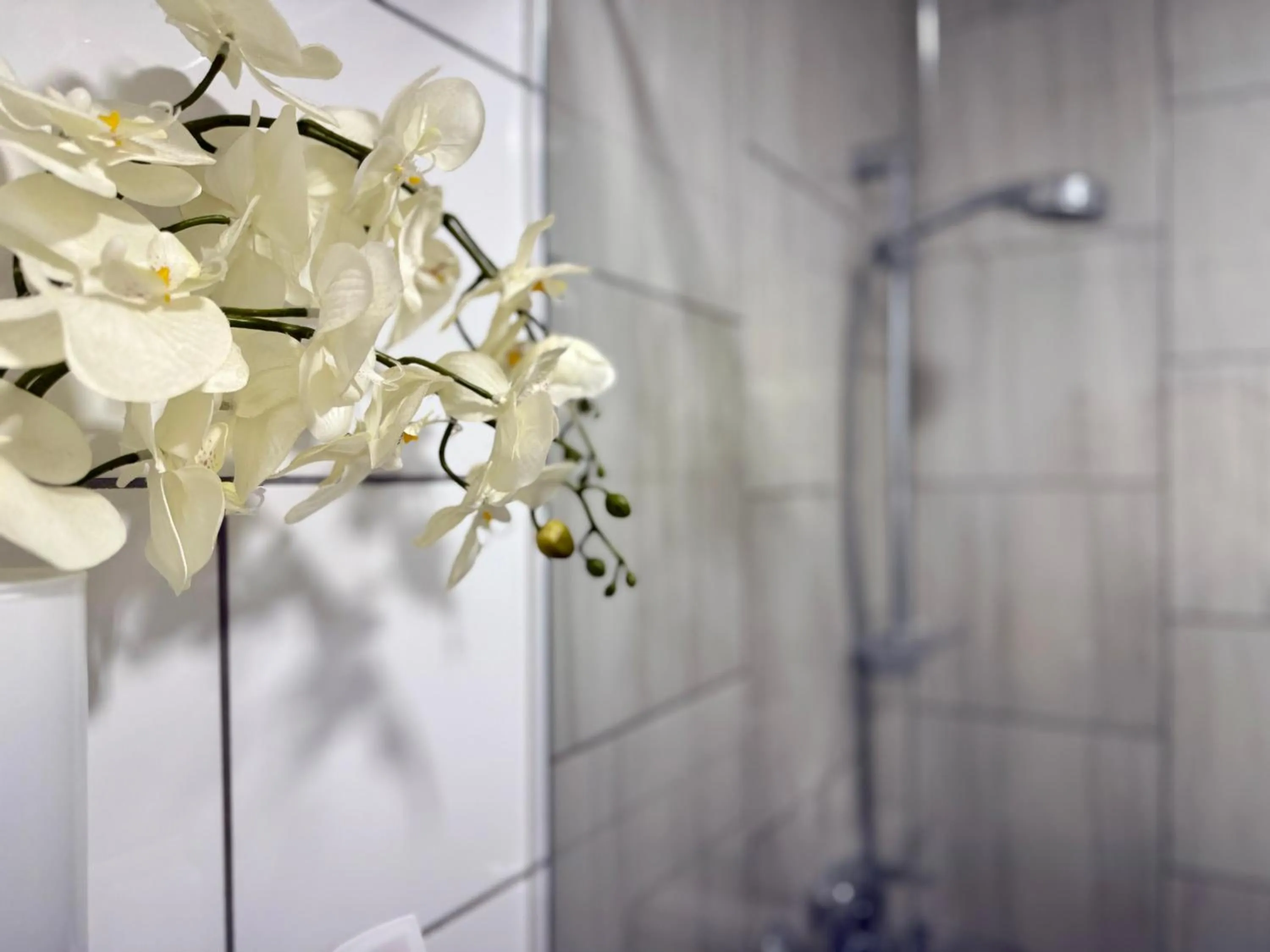 Shower in Guest house Kobal