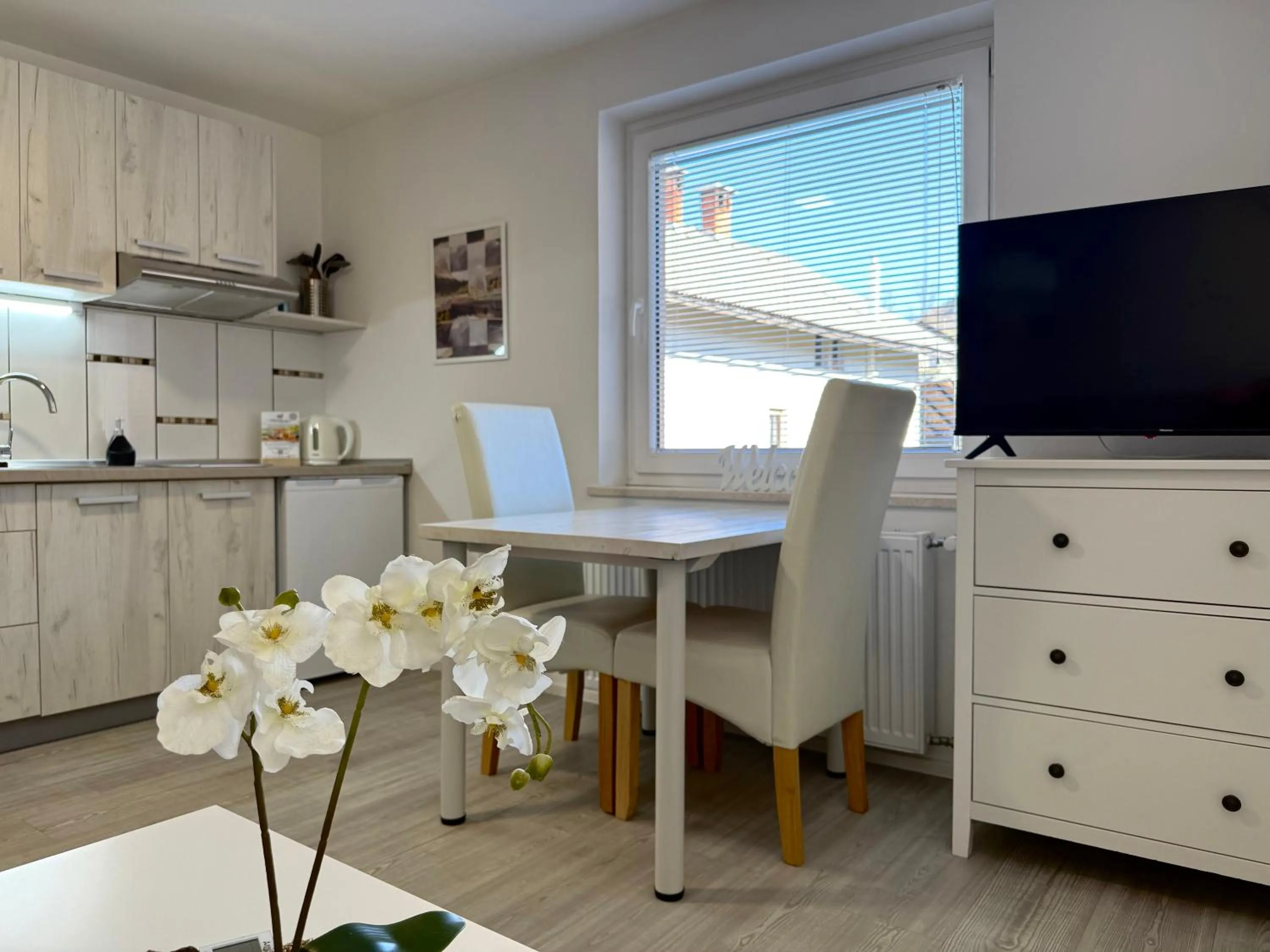 TV and multimedia in Guest house Kobal