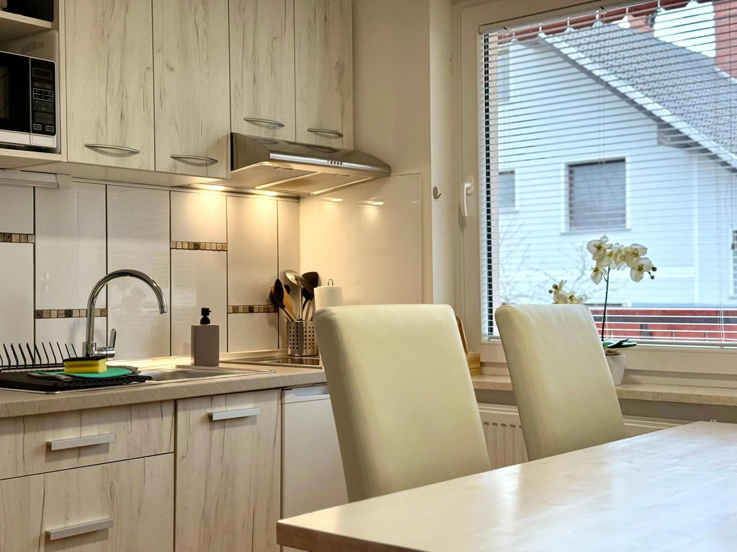 Kitchen or kitchenette in Guest house Kobal