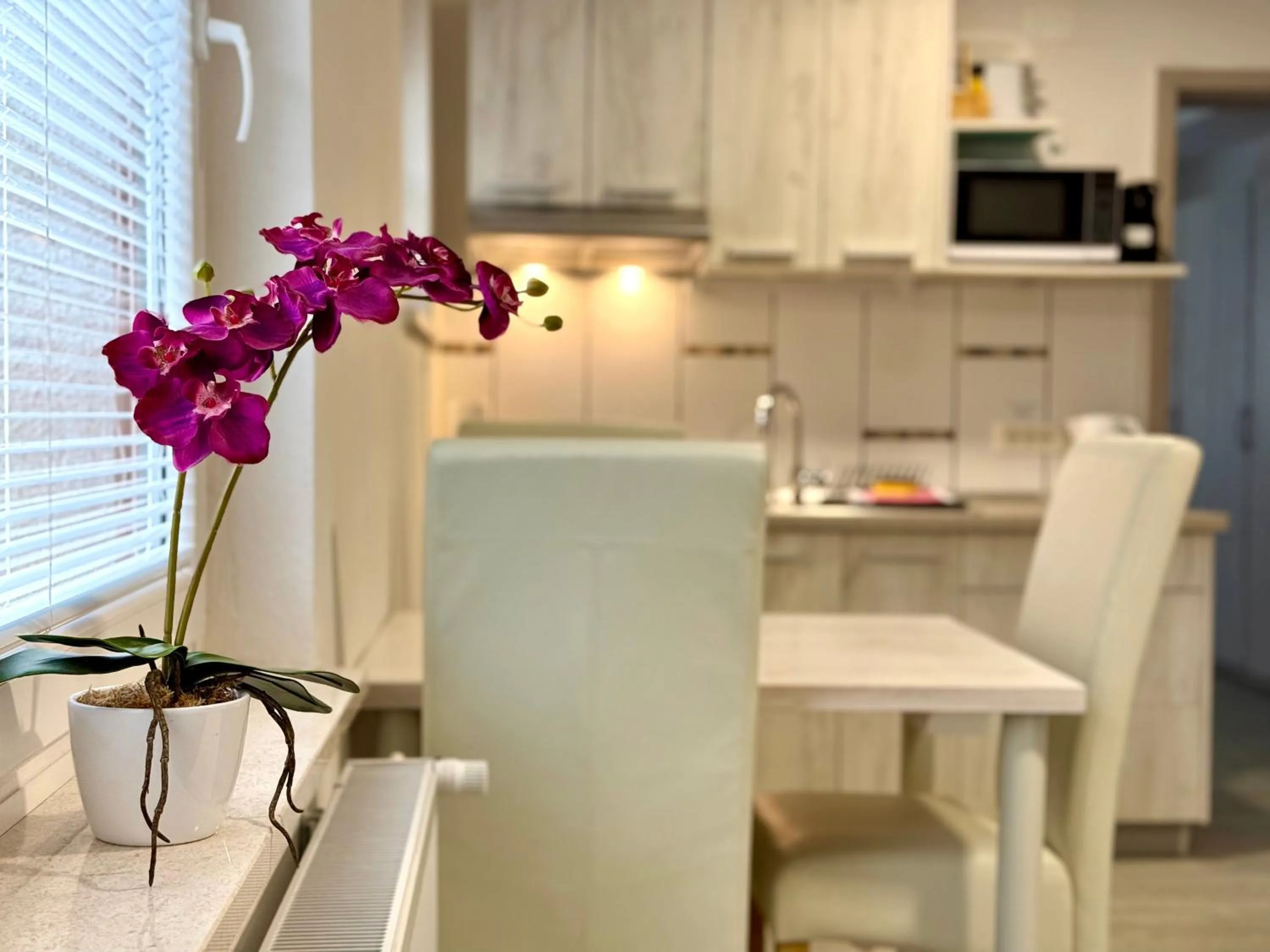 Kitchen or kitchenette in Guest house Kobal