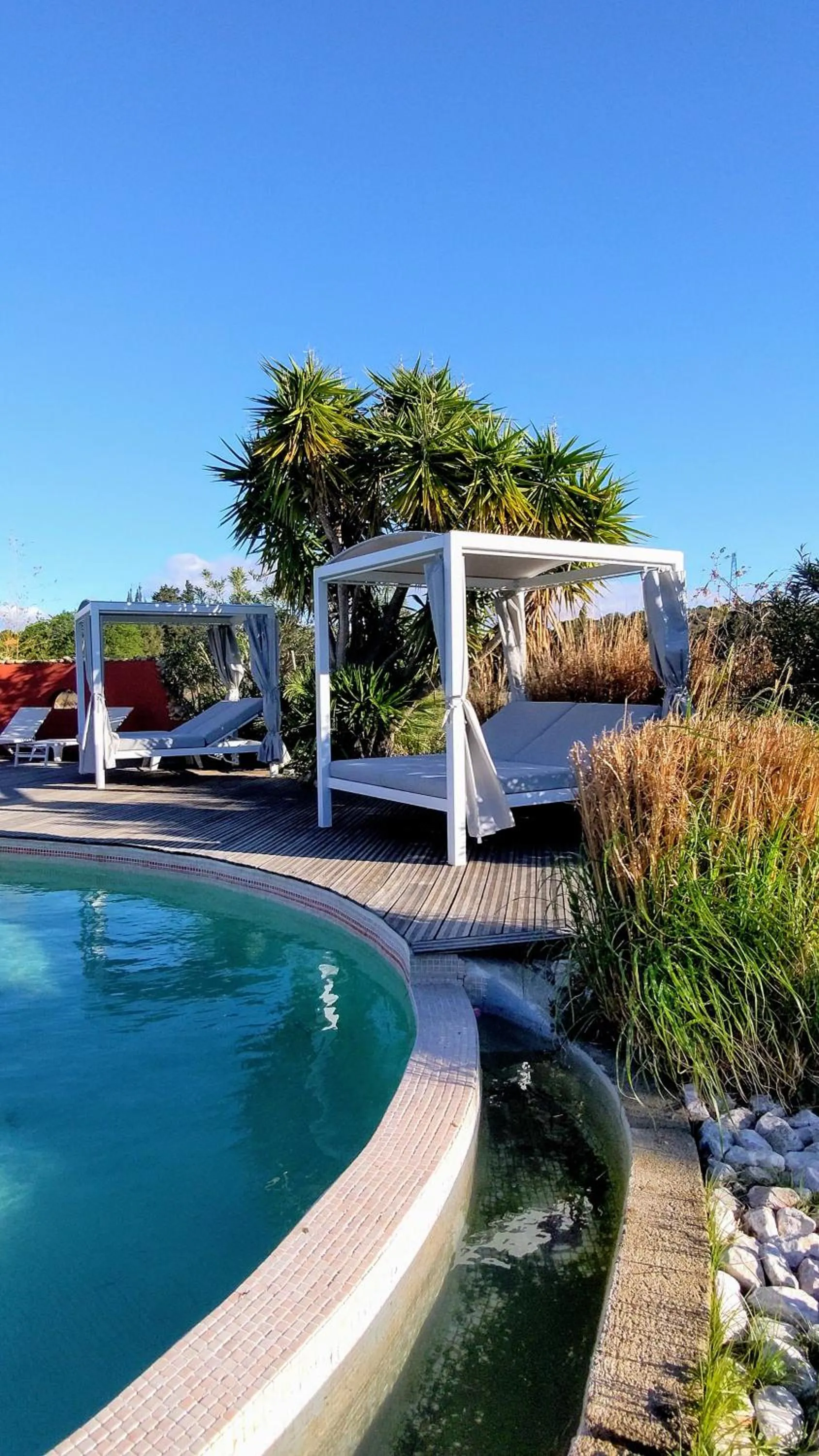 Pool view in Le Mas Del Cavalier