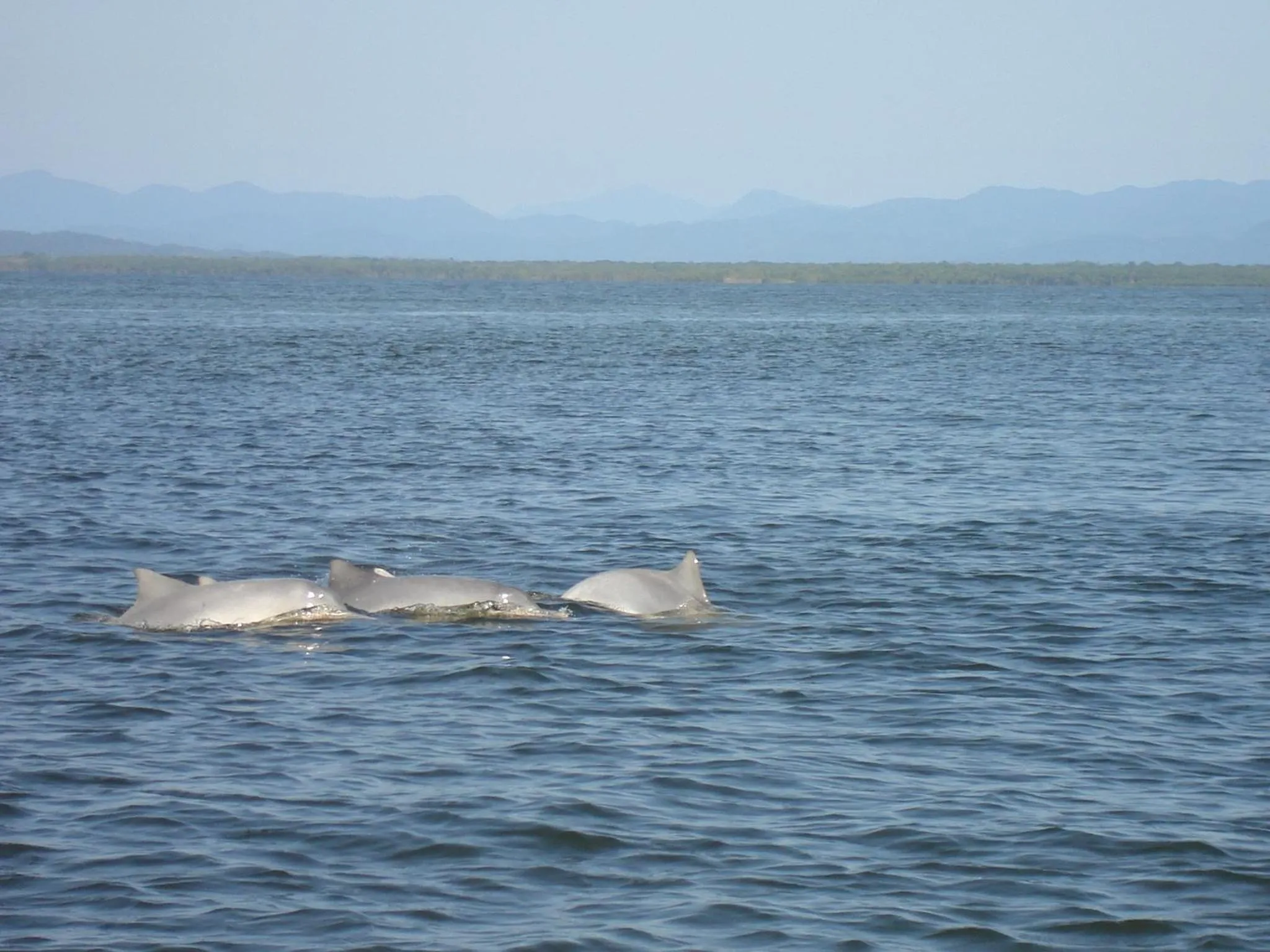 Sea view in Hotel Recanto do Sol