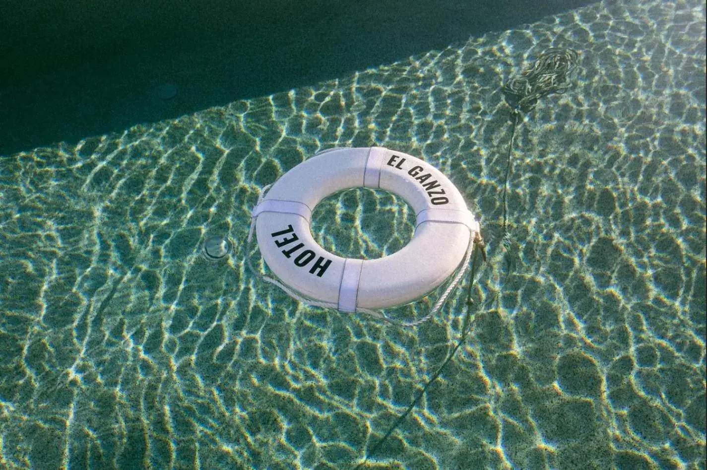 Swimming pool in Hotel El Ganzo - Adults Only Swimming pool in Hotel El Ganzo - Adults Only