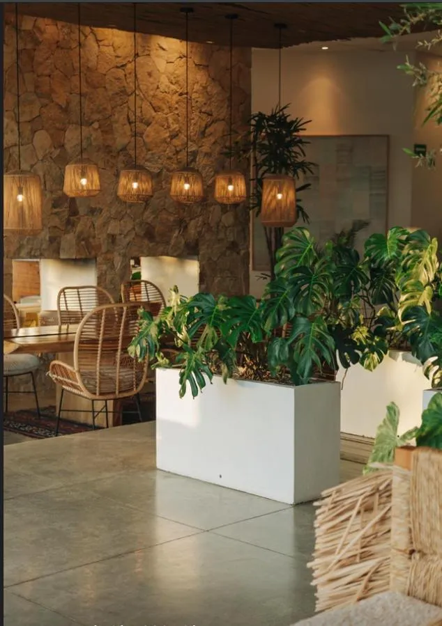 Lobby or reception in Hotel El Ganzo - Adults Only