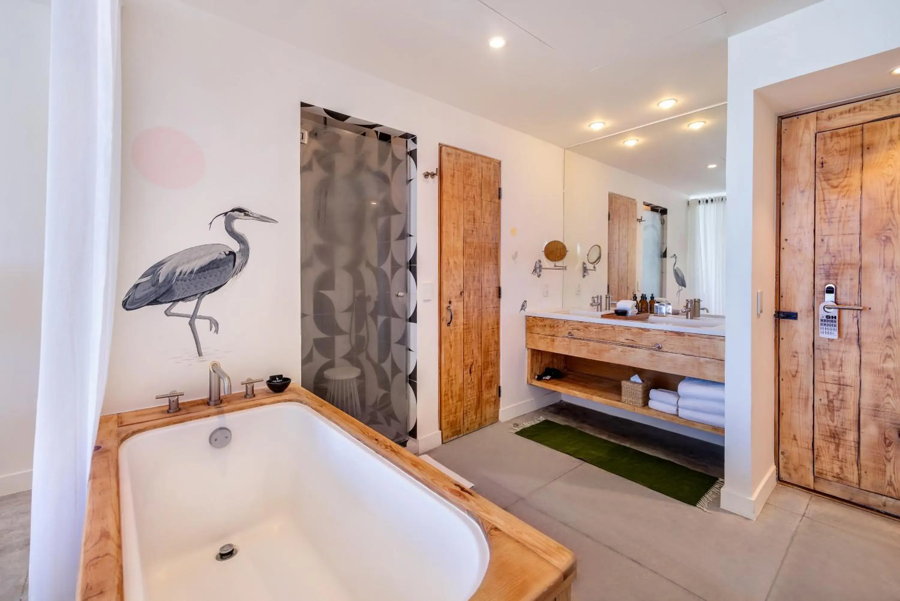 Photo of the whole room in Hotel El Ganzo - Adults Only Photo of the whole room in Hotel El Ganzo - Adults Only