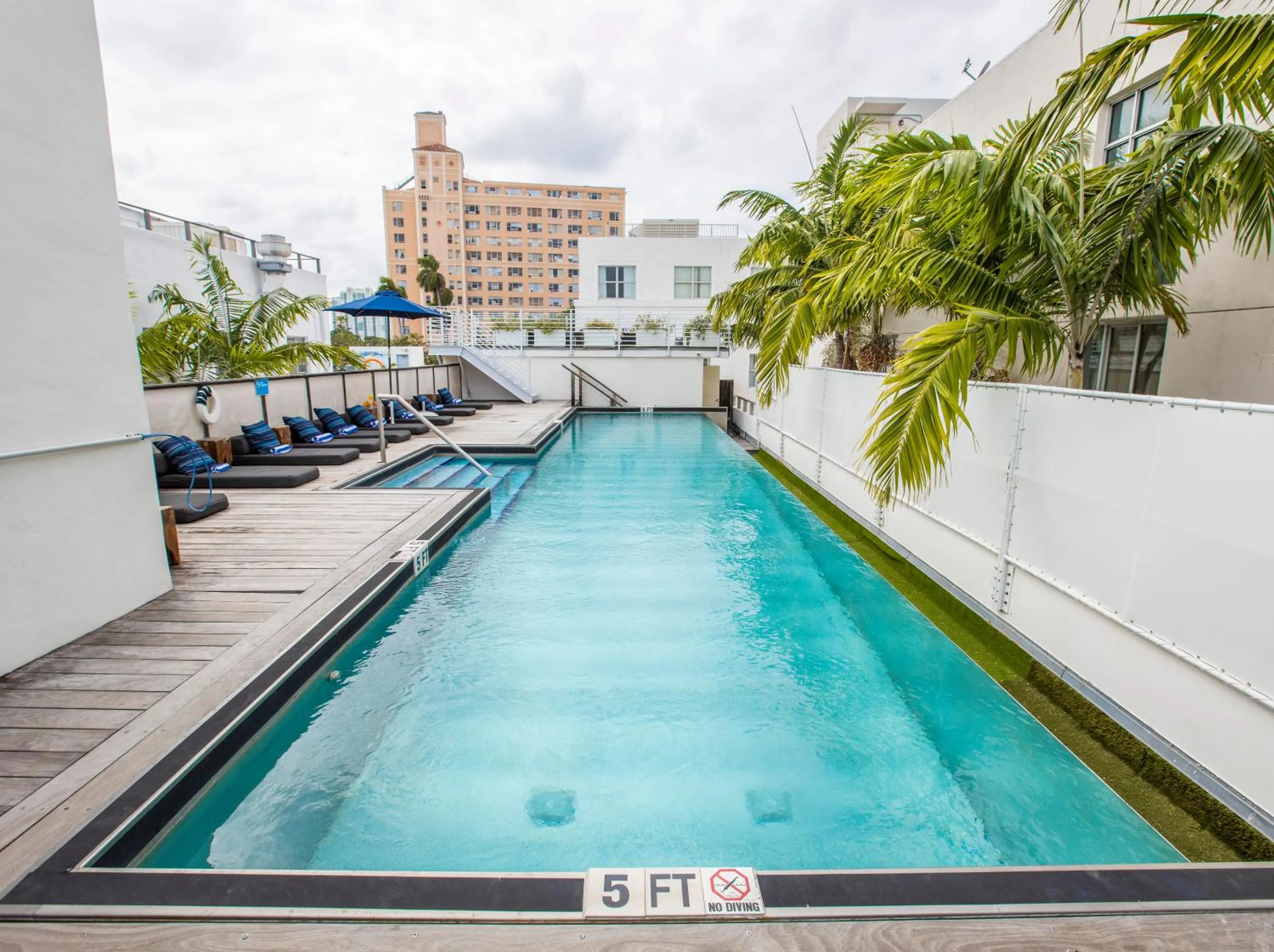 Swimming pool in Posh South Beach