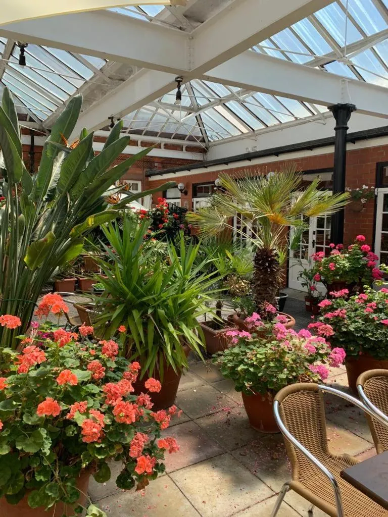 Patio in The Carre Arms Hotel & Restaurant