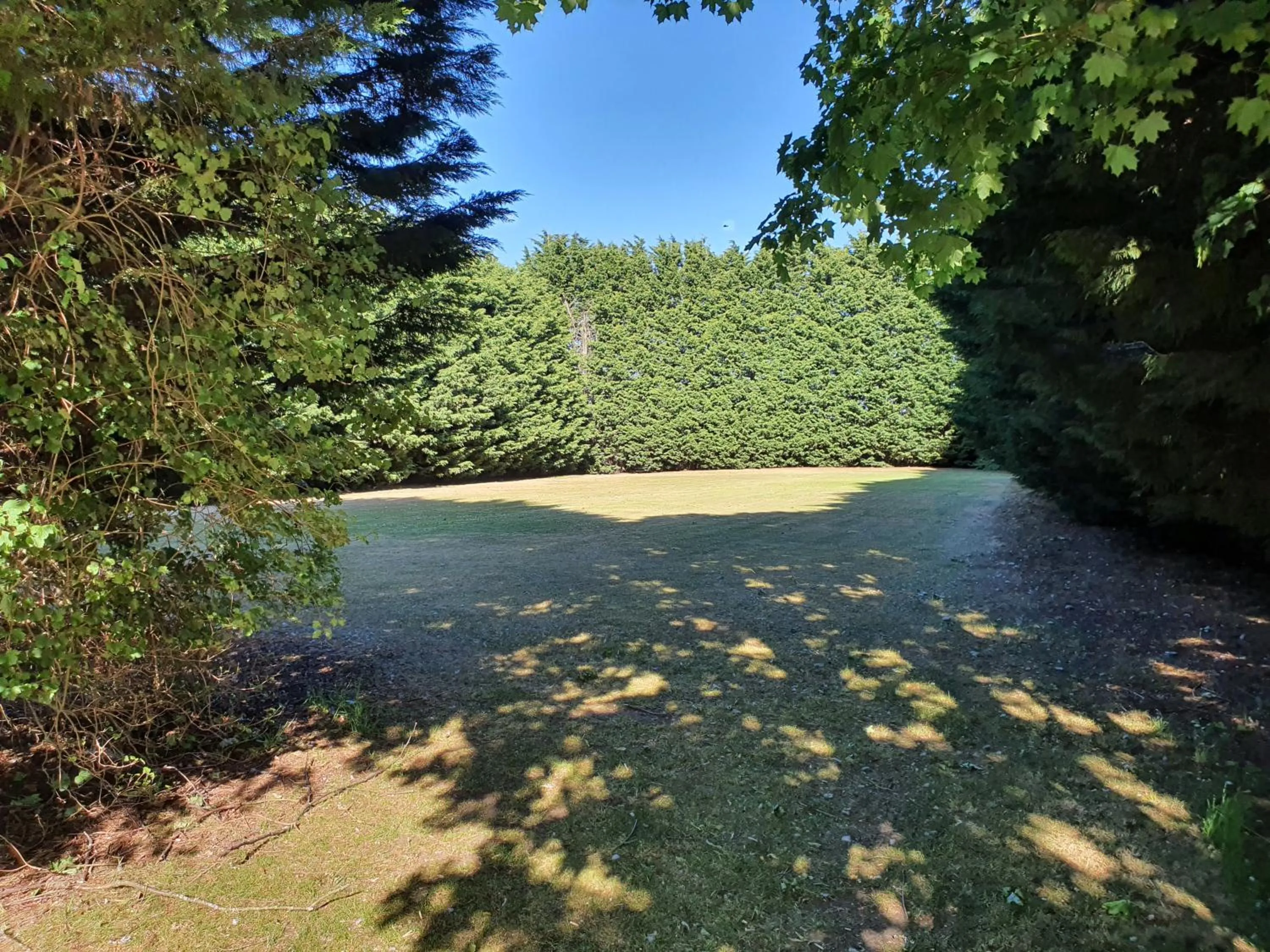 Garden in The Carre Arms Hotel & Restaurant