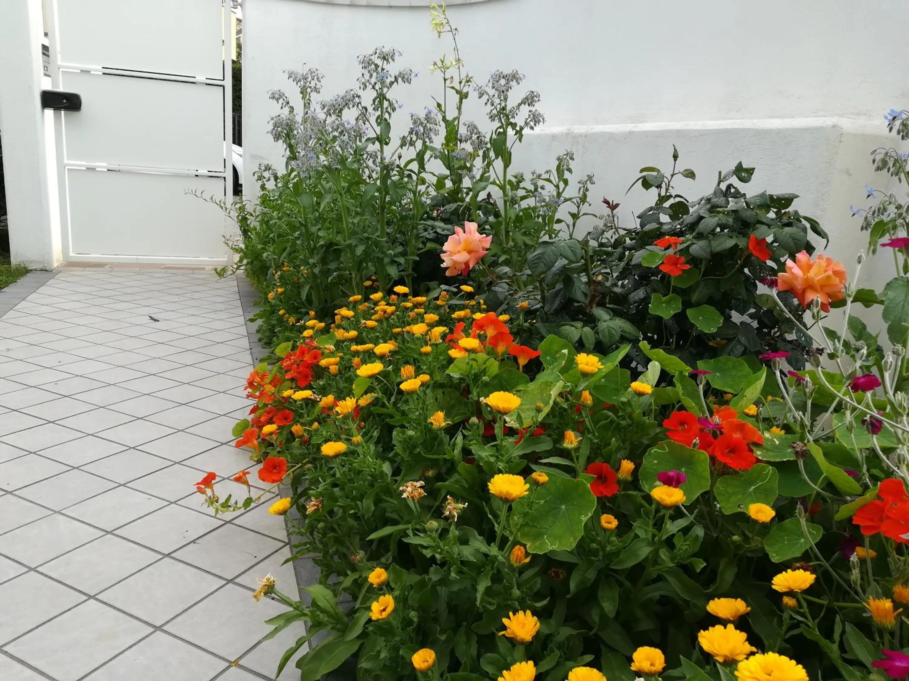 Facade/entrance in B&B Al Piovego