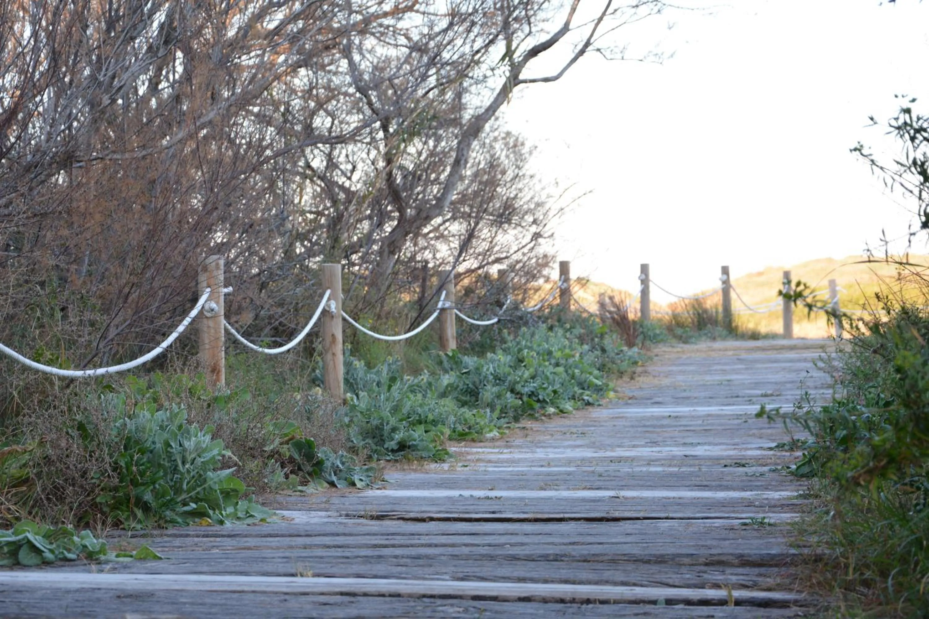 Natural landscape in YOU & CO. Saler Beach Boutique