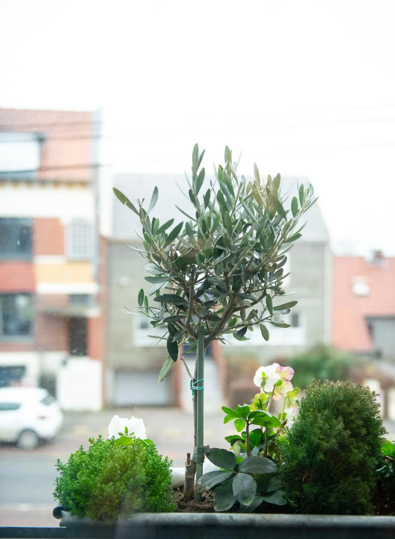 Balcony/Terrace in Le Vivier