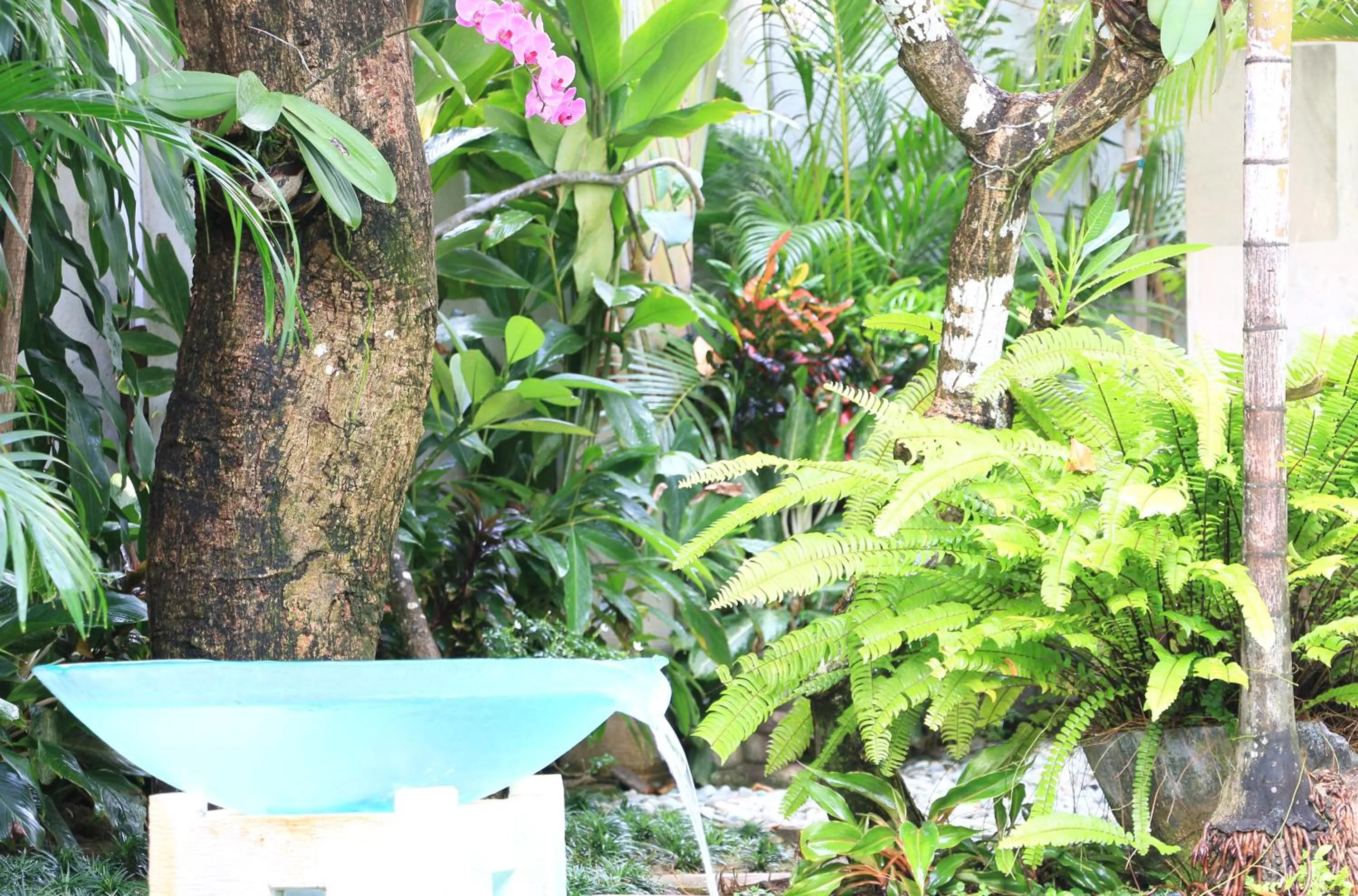 View (from property/room) in Nike Villas