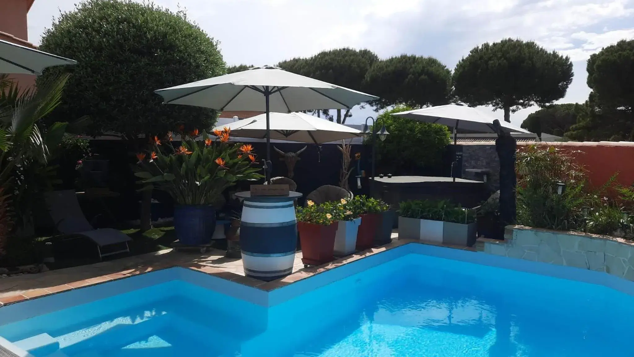 Location Chambre d'hôtes Grau du Roi Mas des Marines Piscine Adult only Location Chambre d'hôtes Grau du Roi Mas des Marines Piscine Adult only