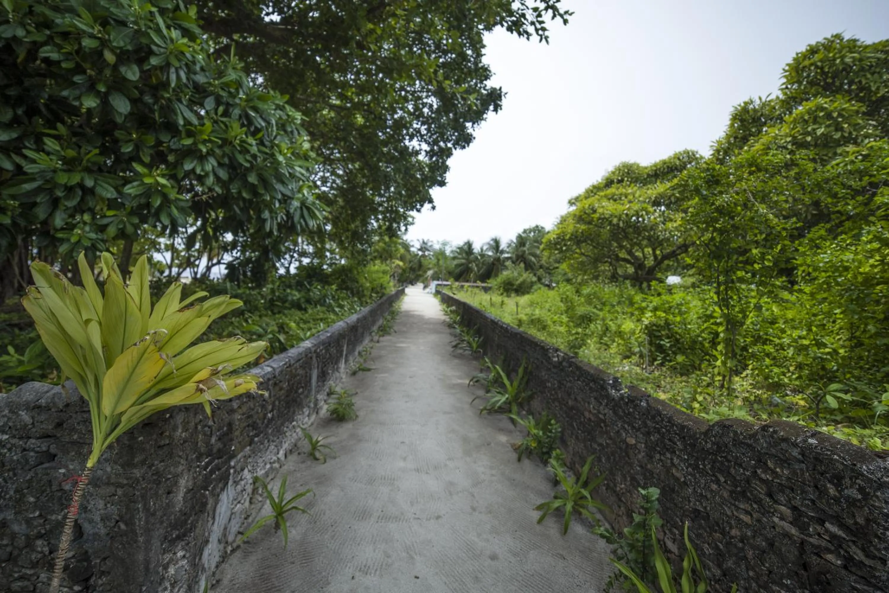 Nearby landmark in By the shade Maldives