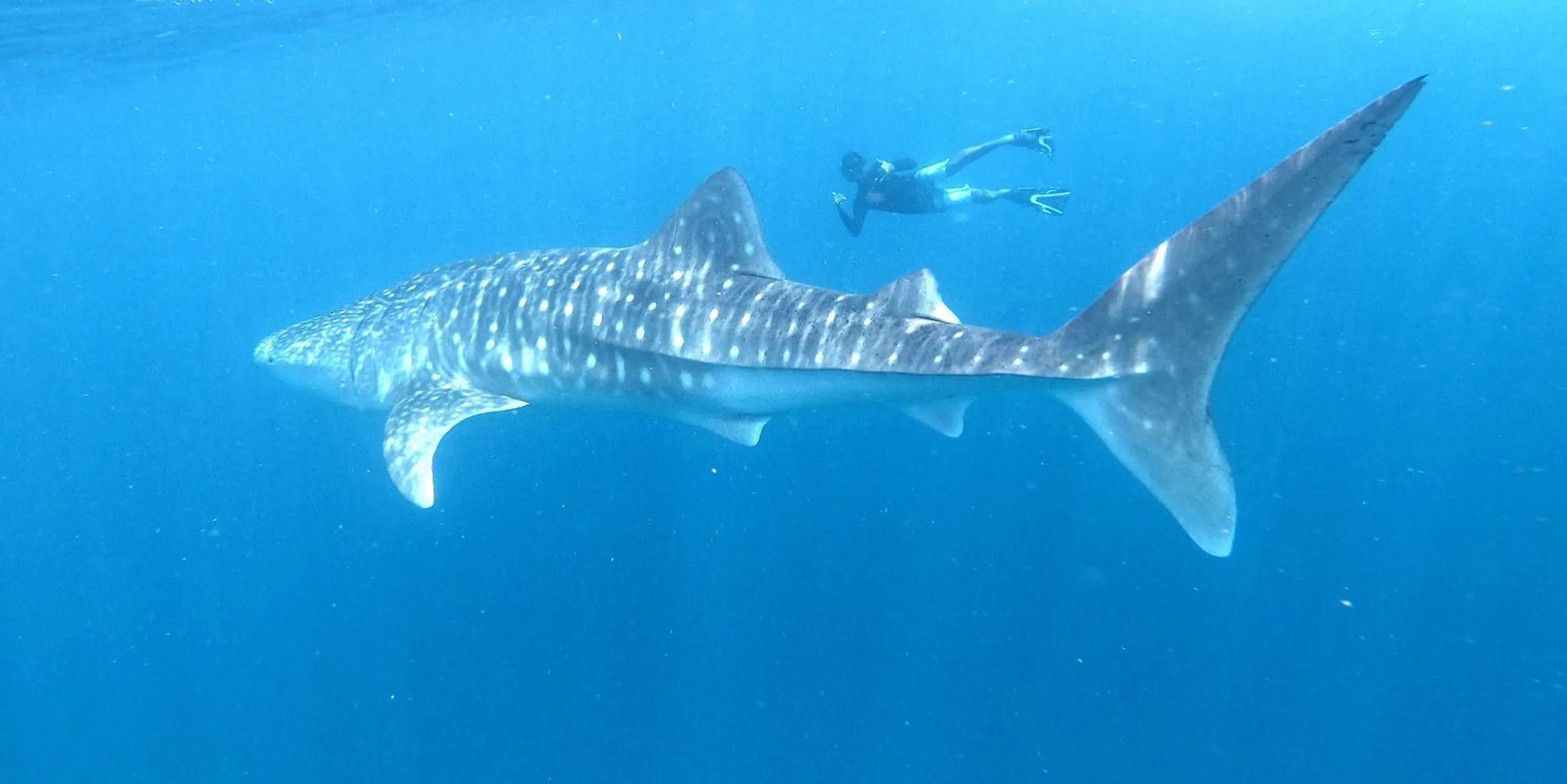 By the shade Maldives