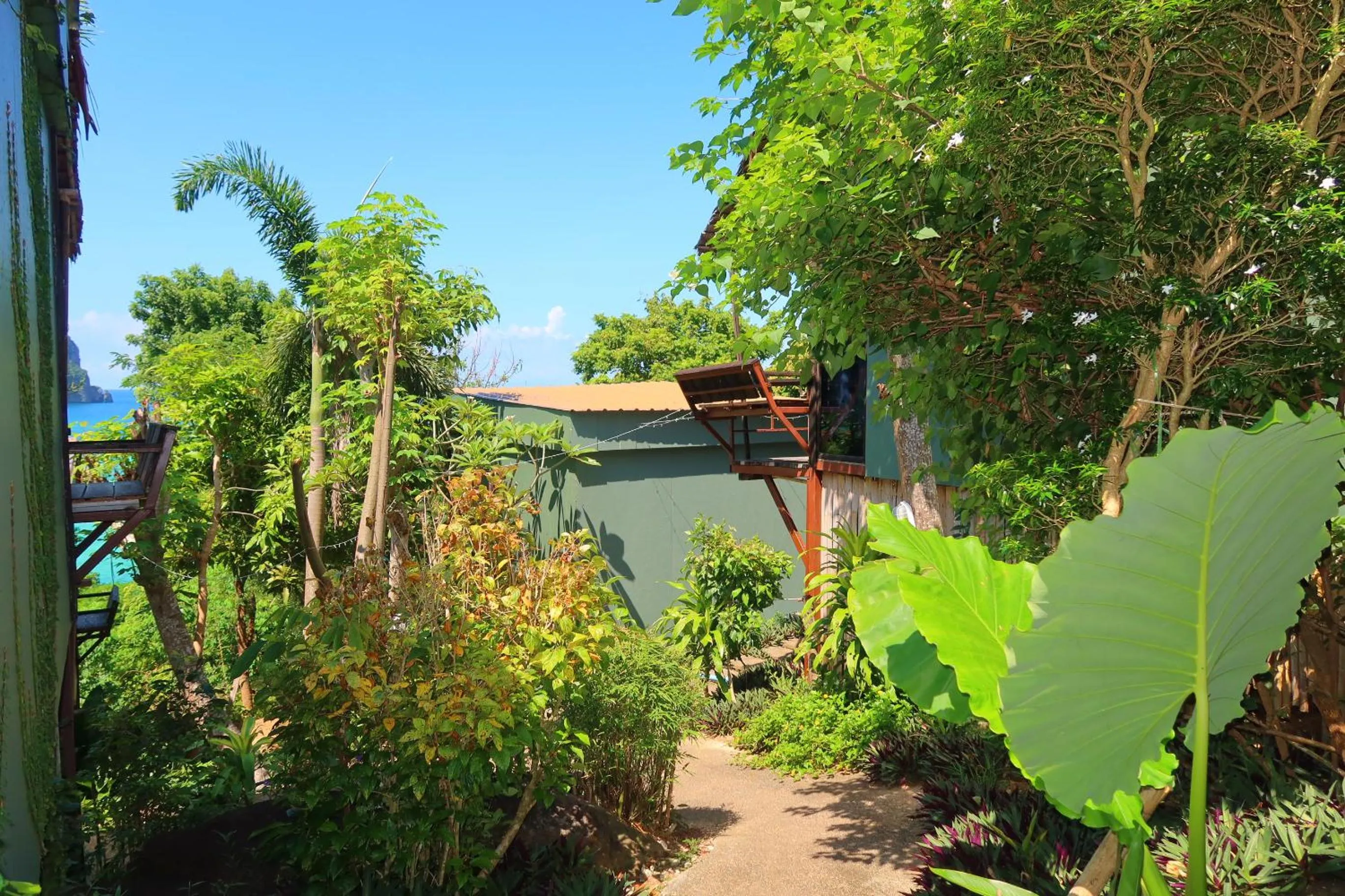 Garden in Phi Phi Sea Sky Resort