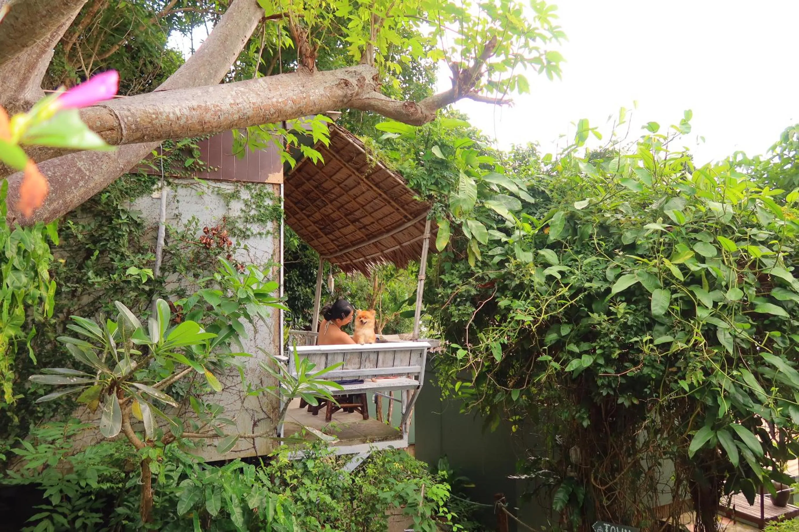 Property building in Phi Phi Sea Sky Resort