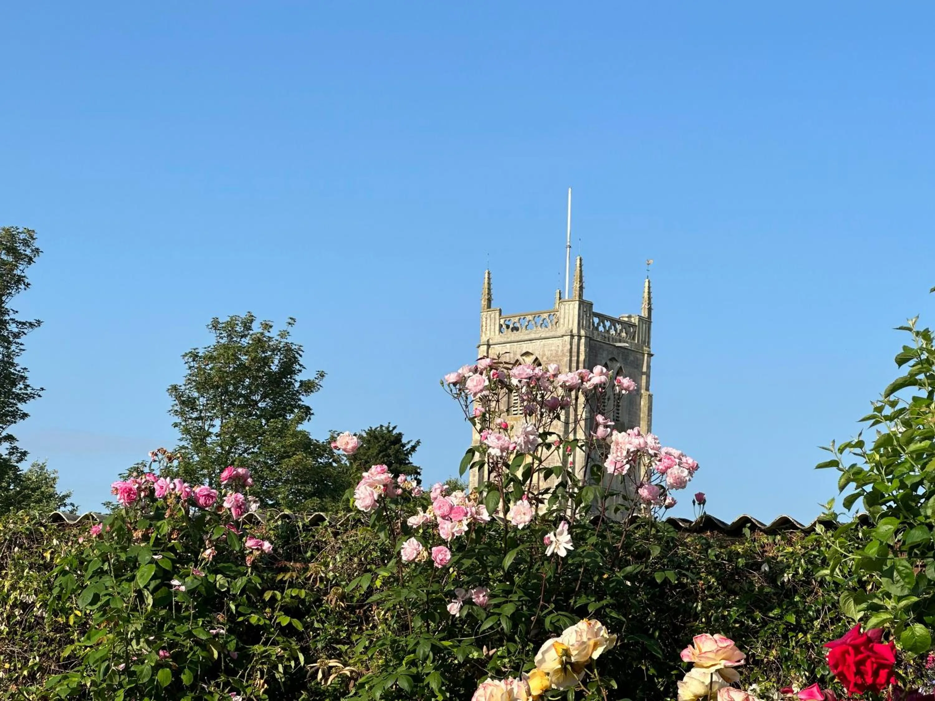 Garden view in Manor Lodge Guesthouse