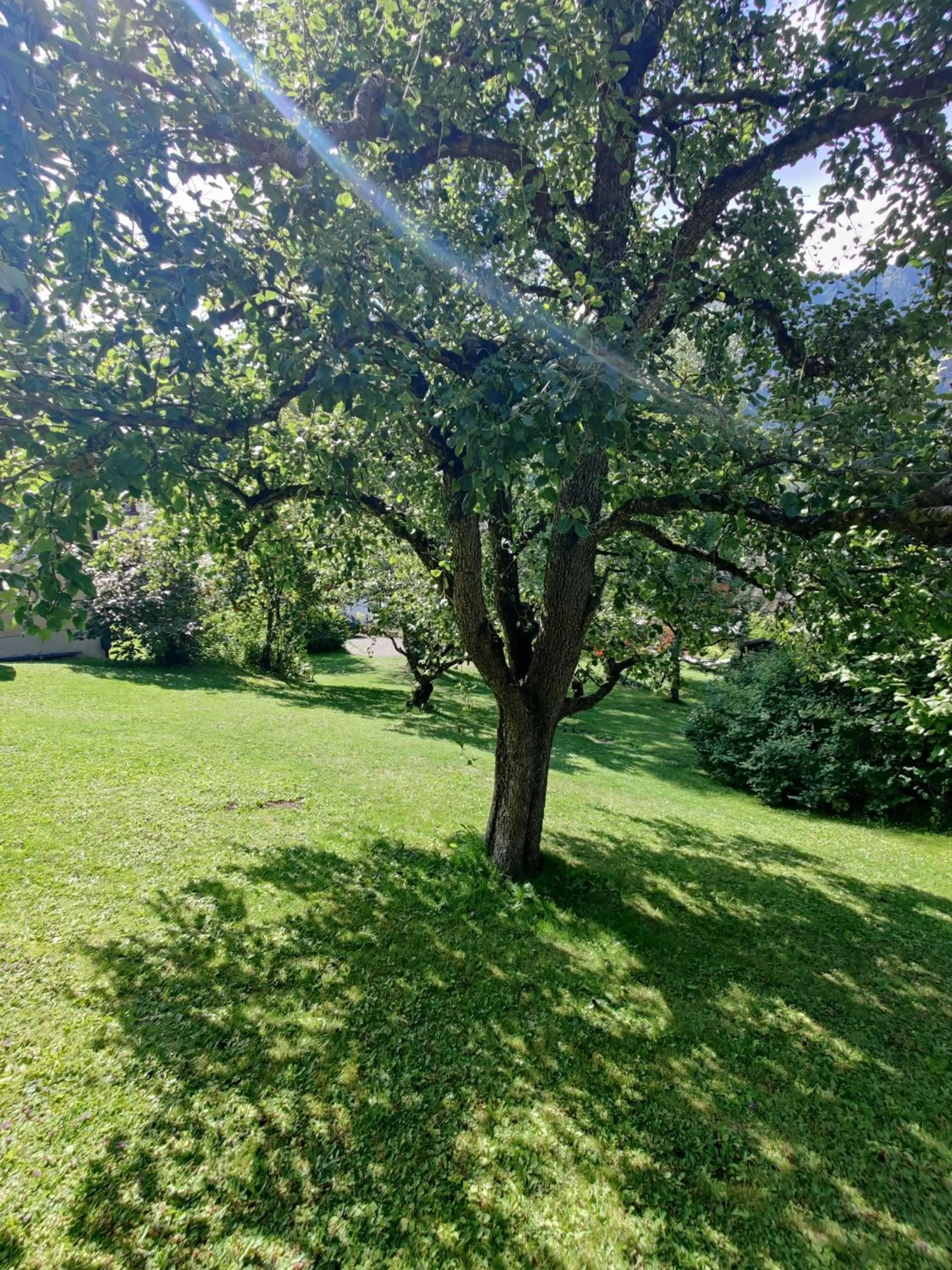 AppartChalet LA RONDULA - 100m from Seceda