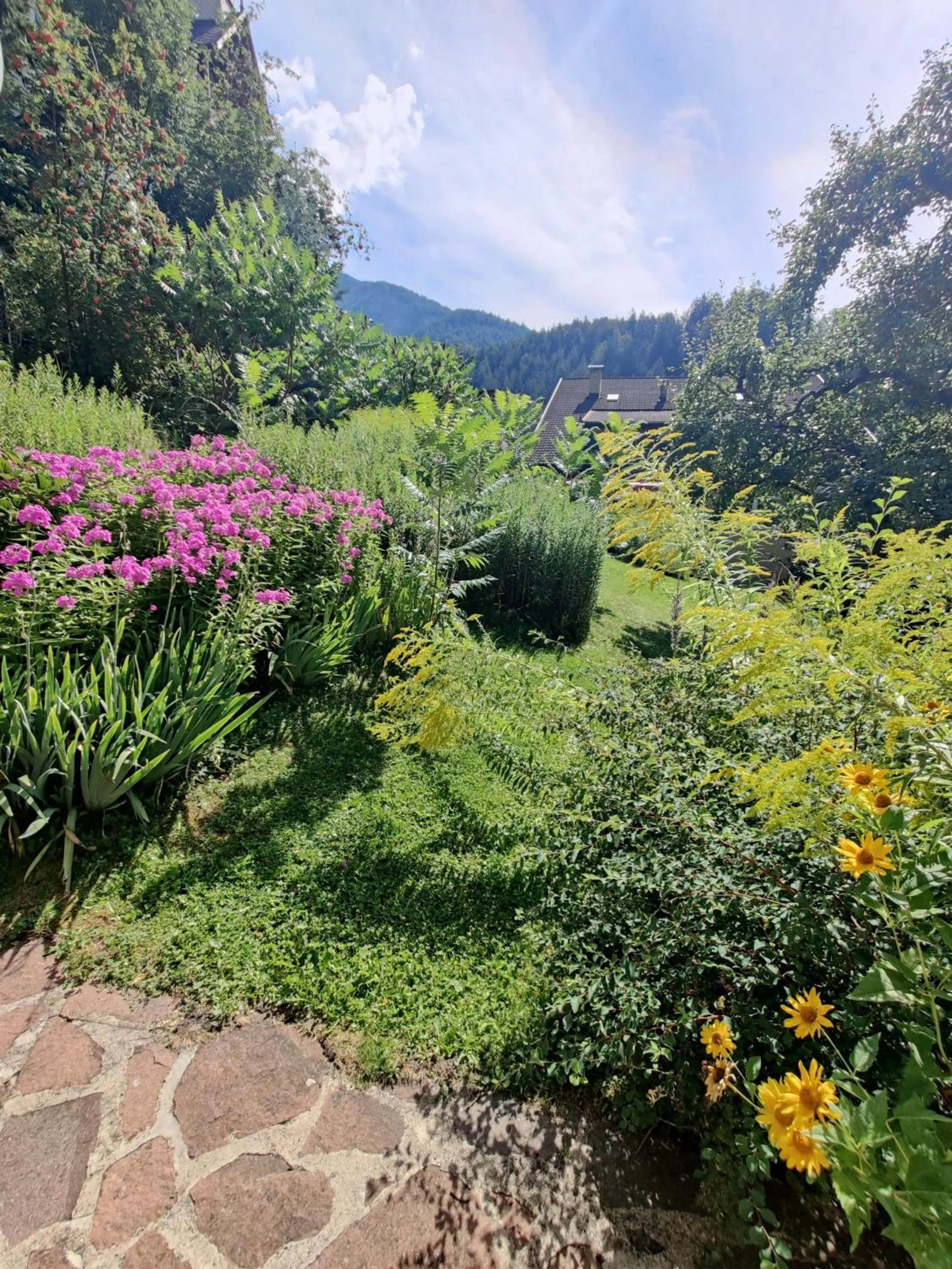 AppartChalet LA RONDULA - 100m from Seceda