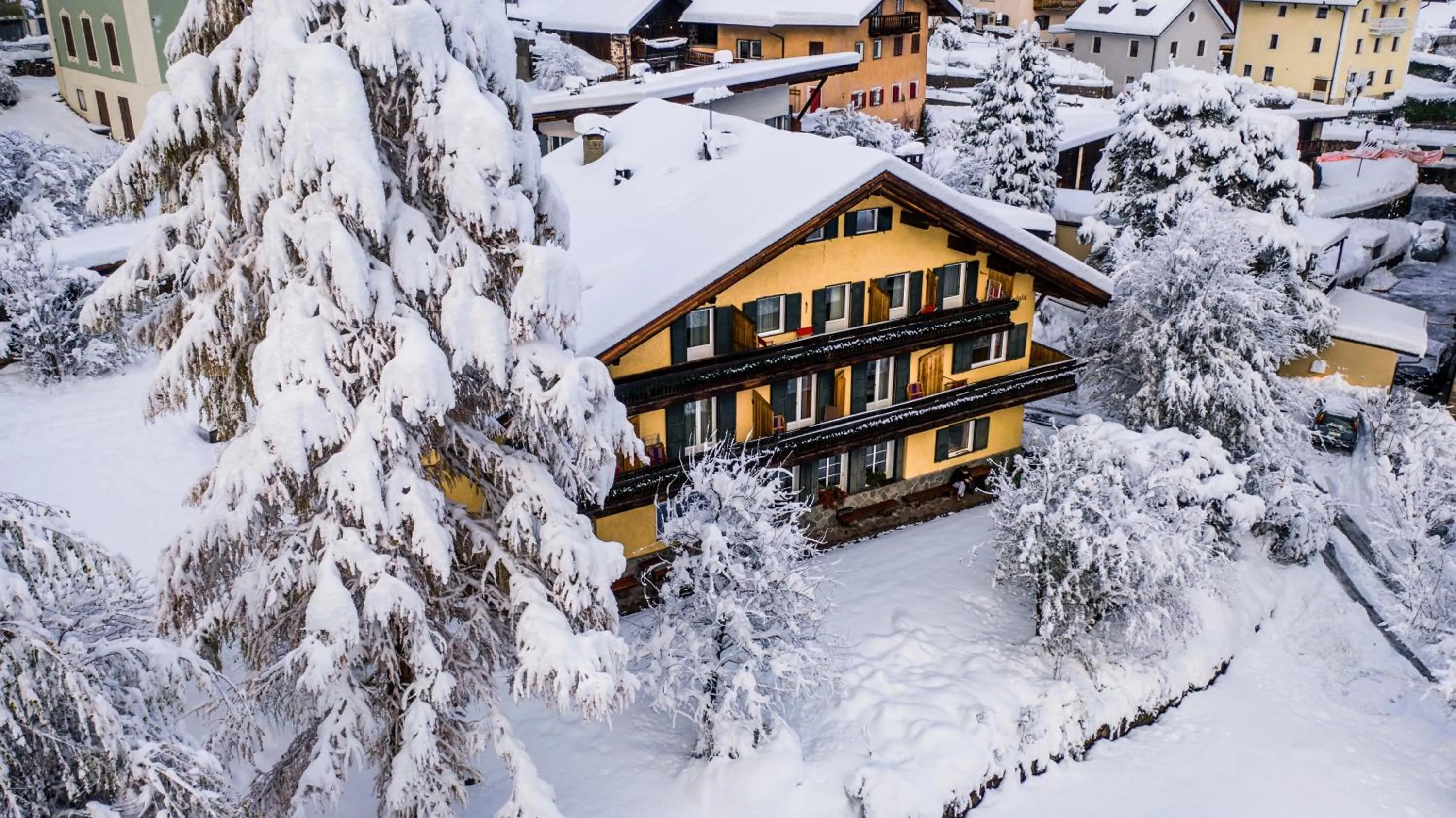 Property building in AppartChalet LA RONDULA - 100m from Seceda