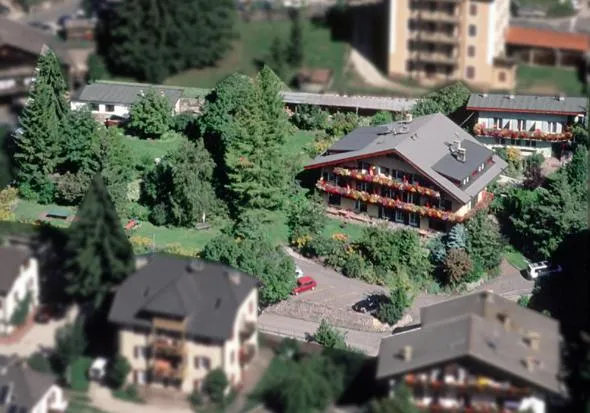 AppartChalet LA RONDULA - 100m from Seceda