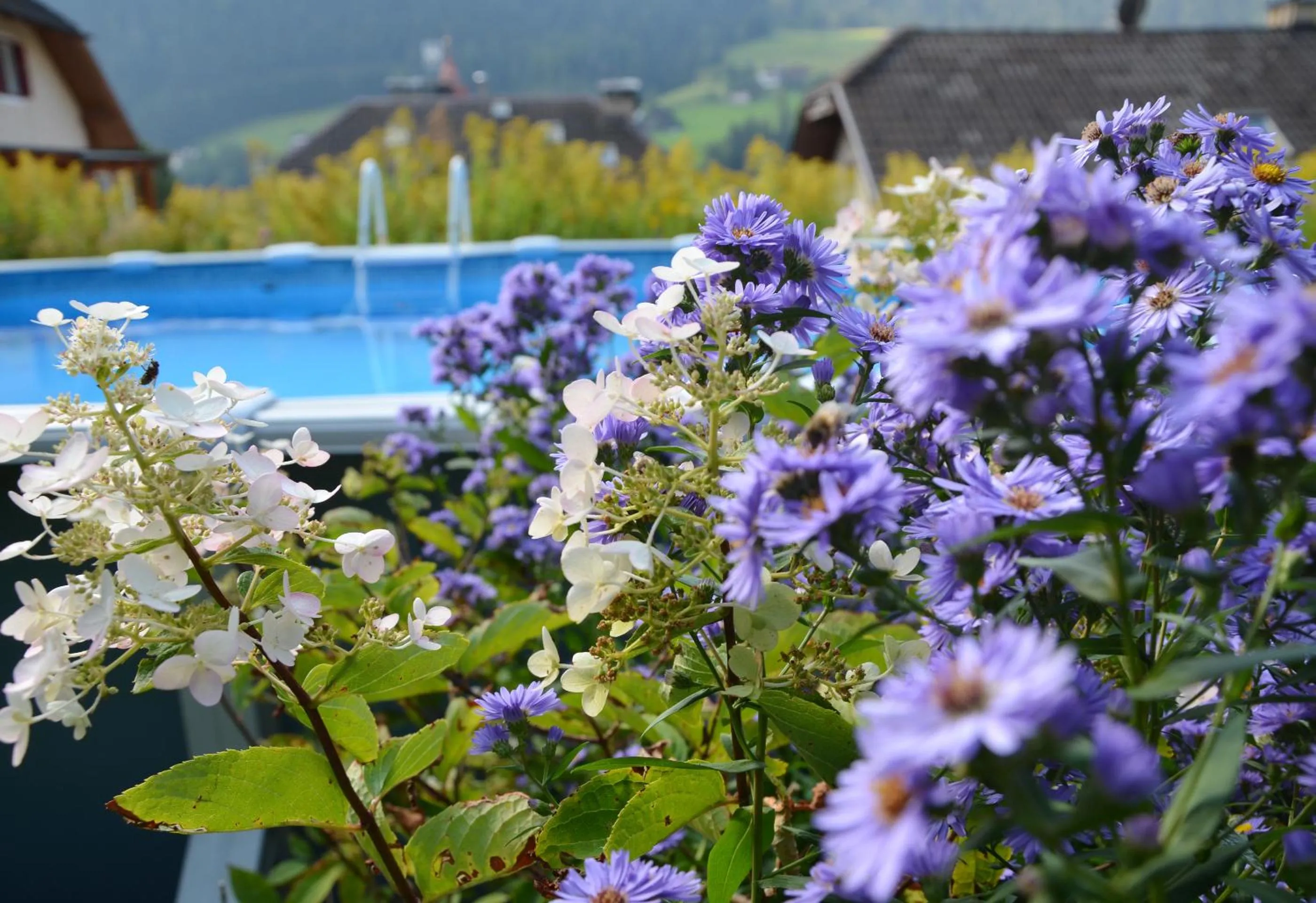 AppartChalet LA RONDULA - 100m from Seceda