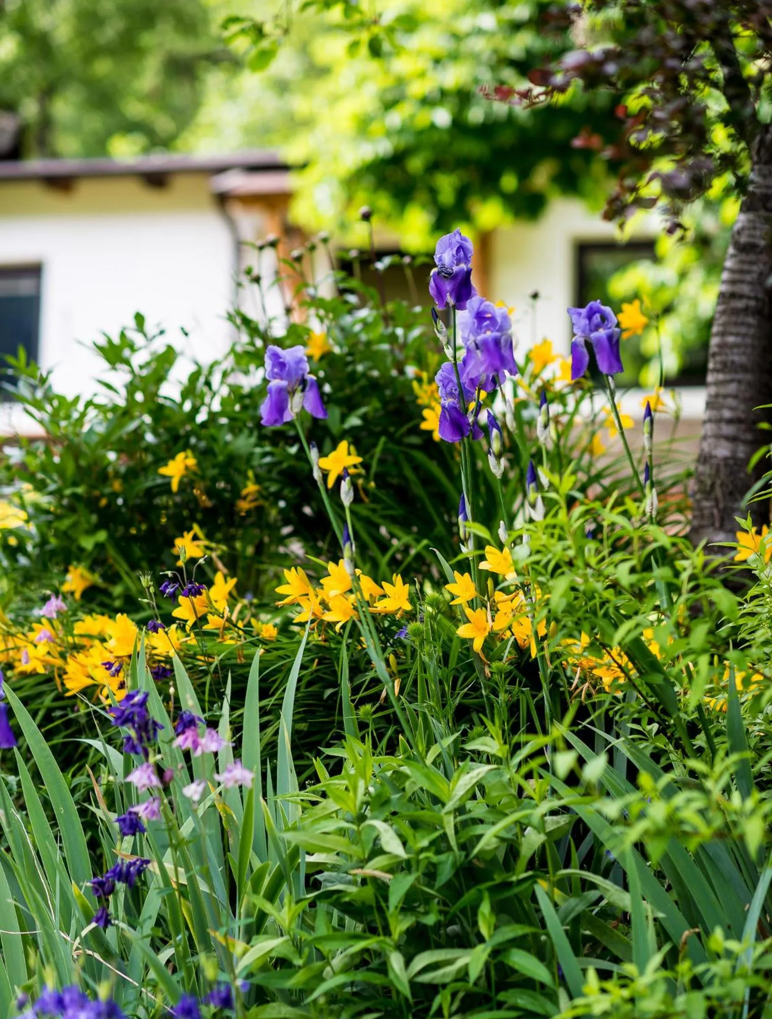 AppartChalet LA RONDULA - 100m from Seceda