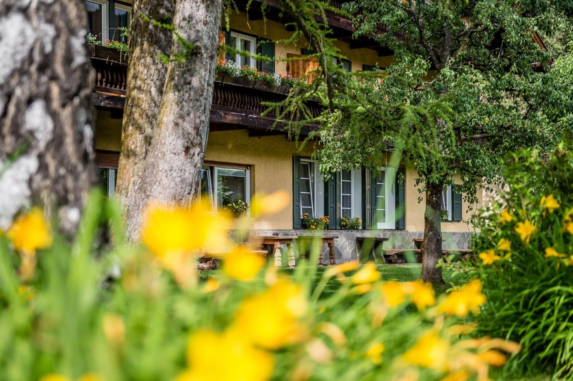 AppartChalet LA RONDULA - 100m from Seceda