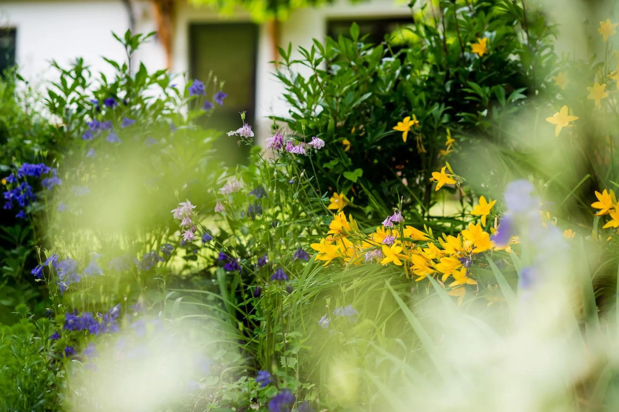 AppartChalet LA RONDULA - 100m from Seceda