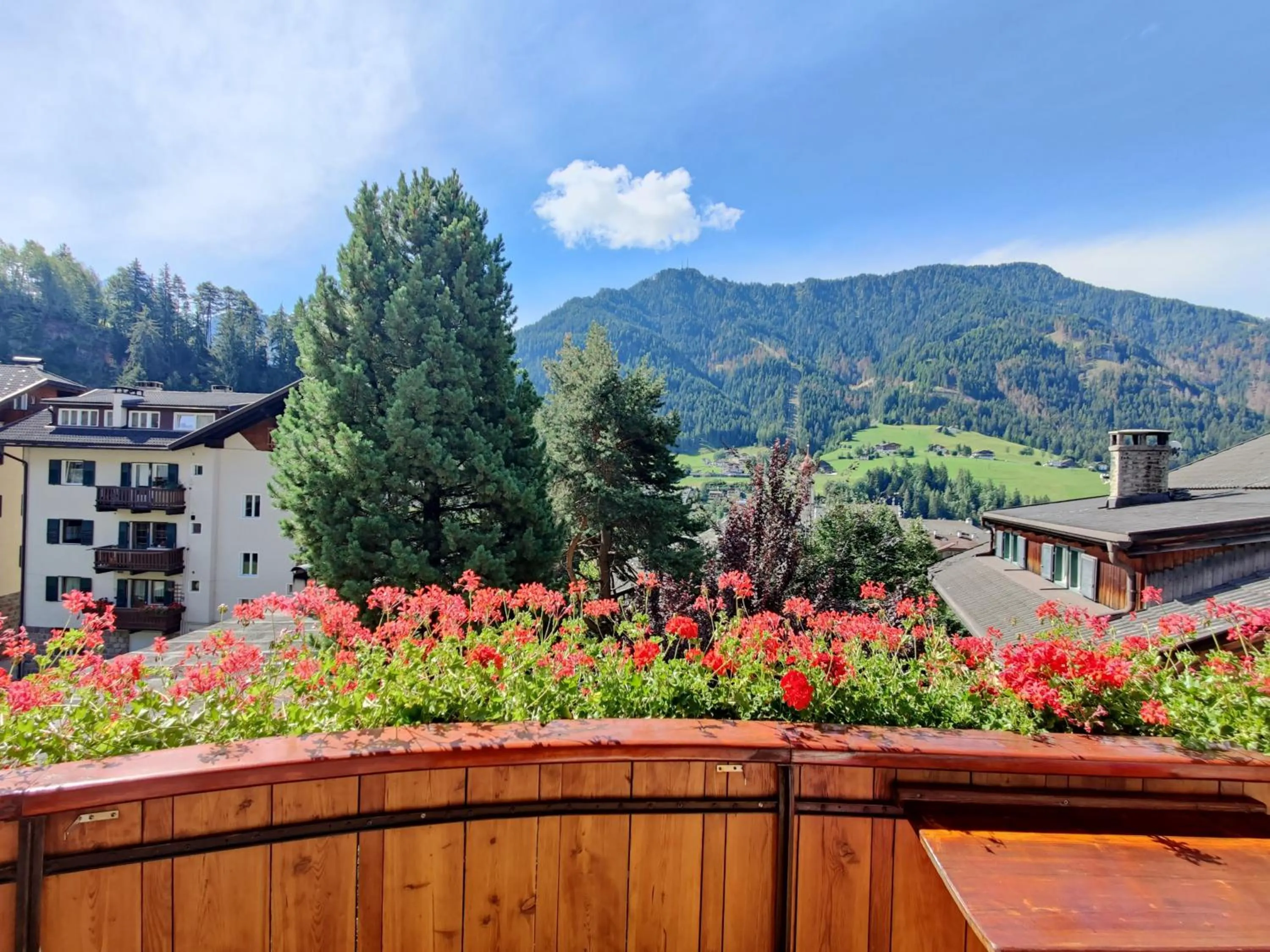 AppartChalet LA RONDULA - 100m from Seceda