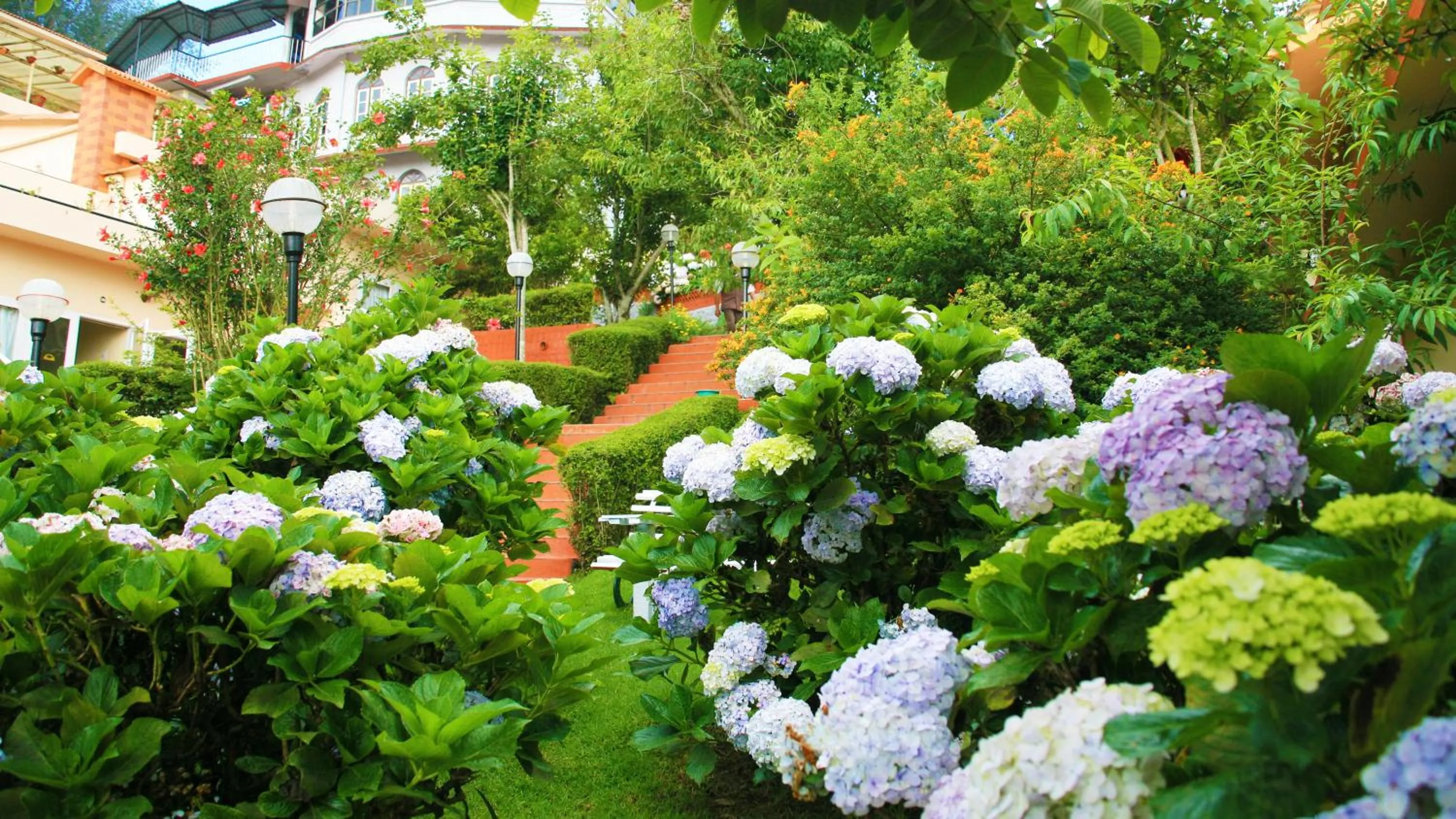 Garden view in Kodai Resort Hotel, Kodaikanal