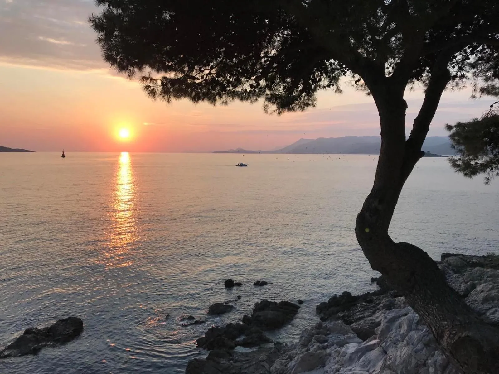 Sea view in Apartments Kralj Ana