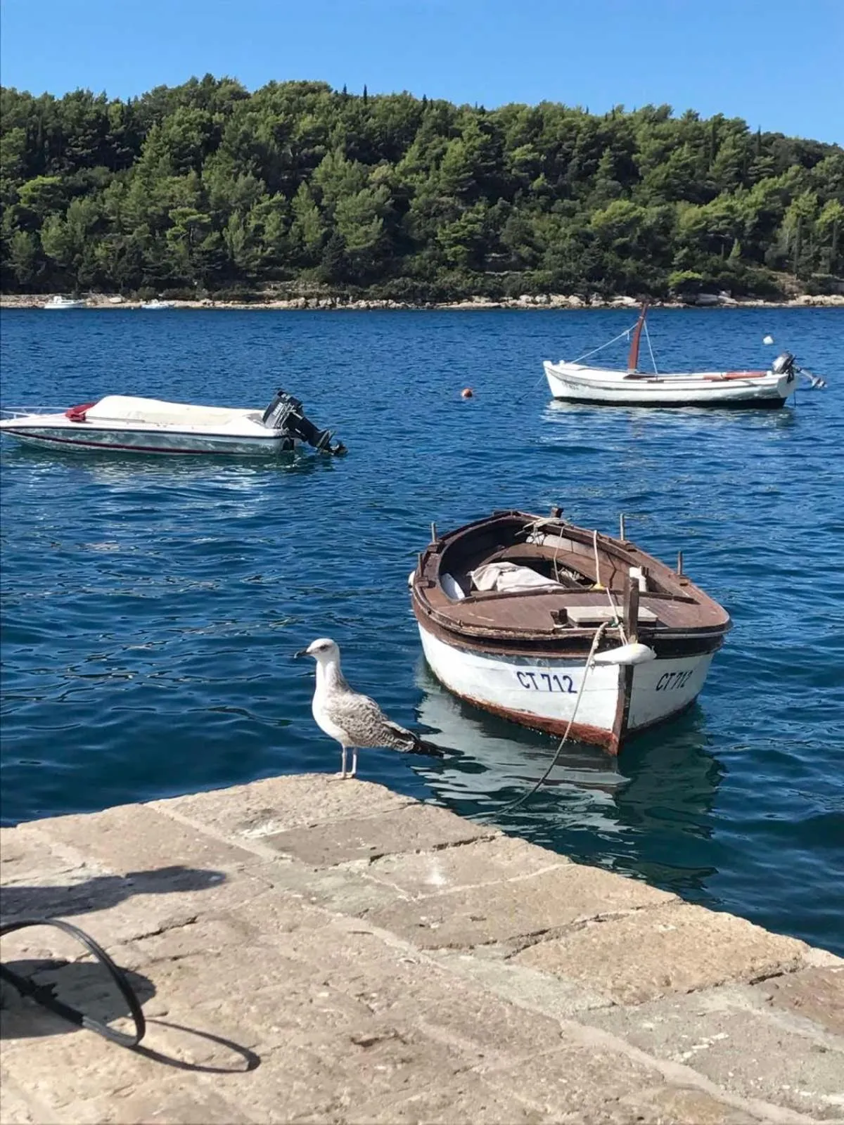 Sea view in Apartments Kralj Ana