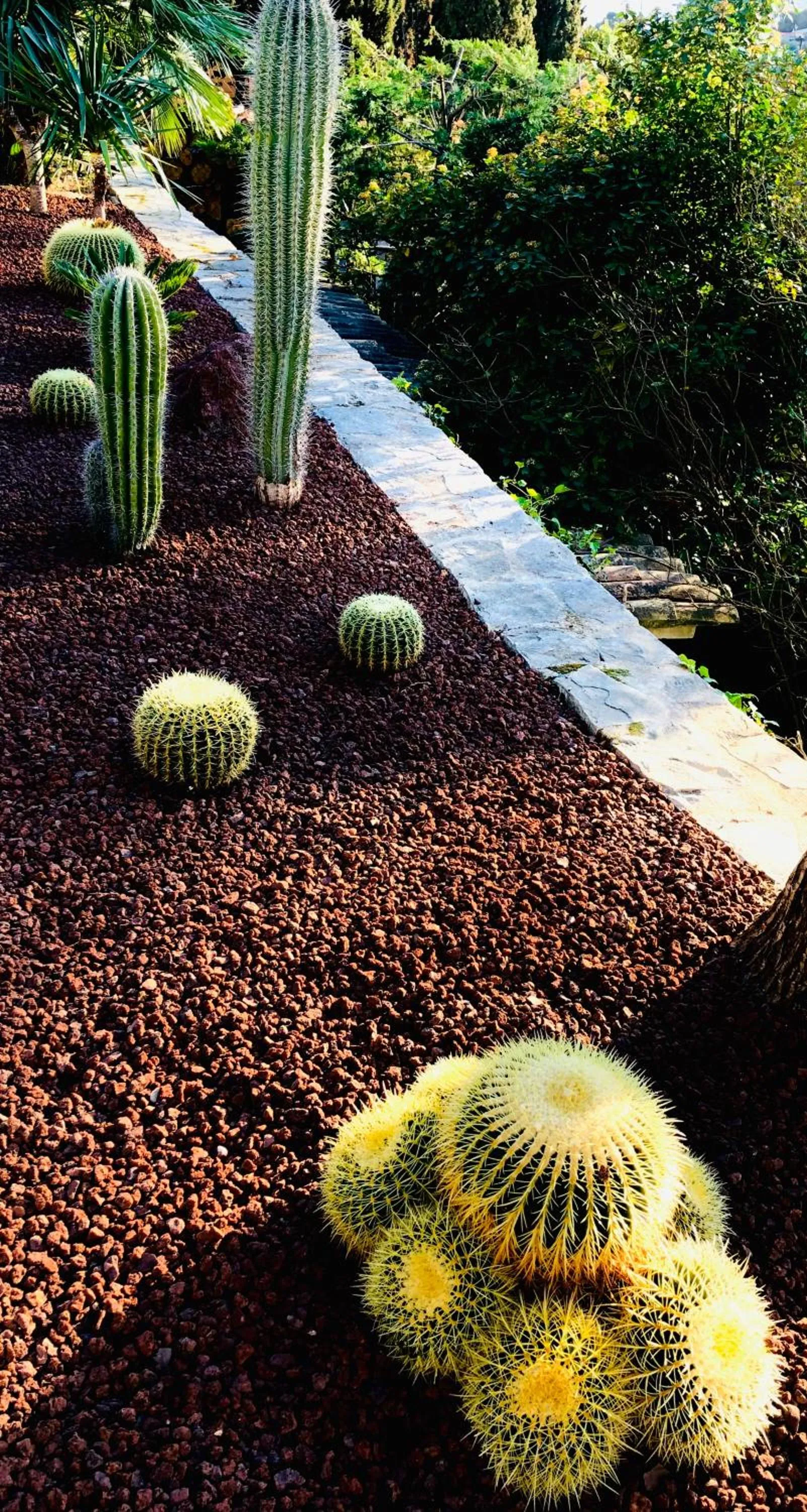 Garden in THE ADDRESS CASSIS