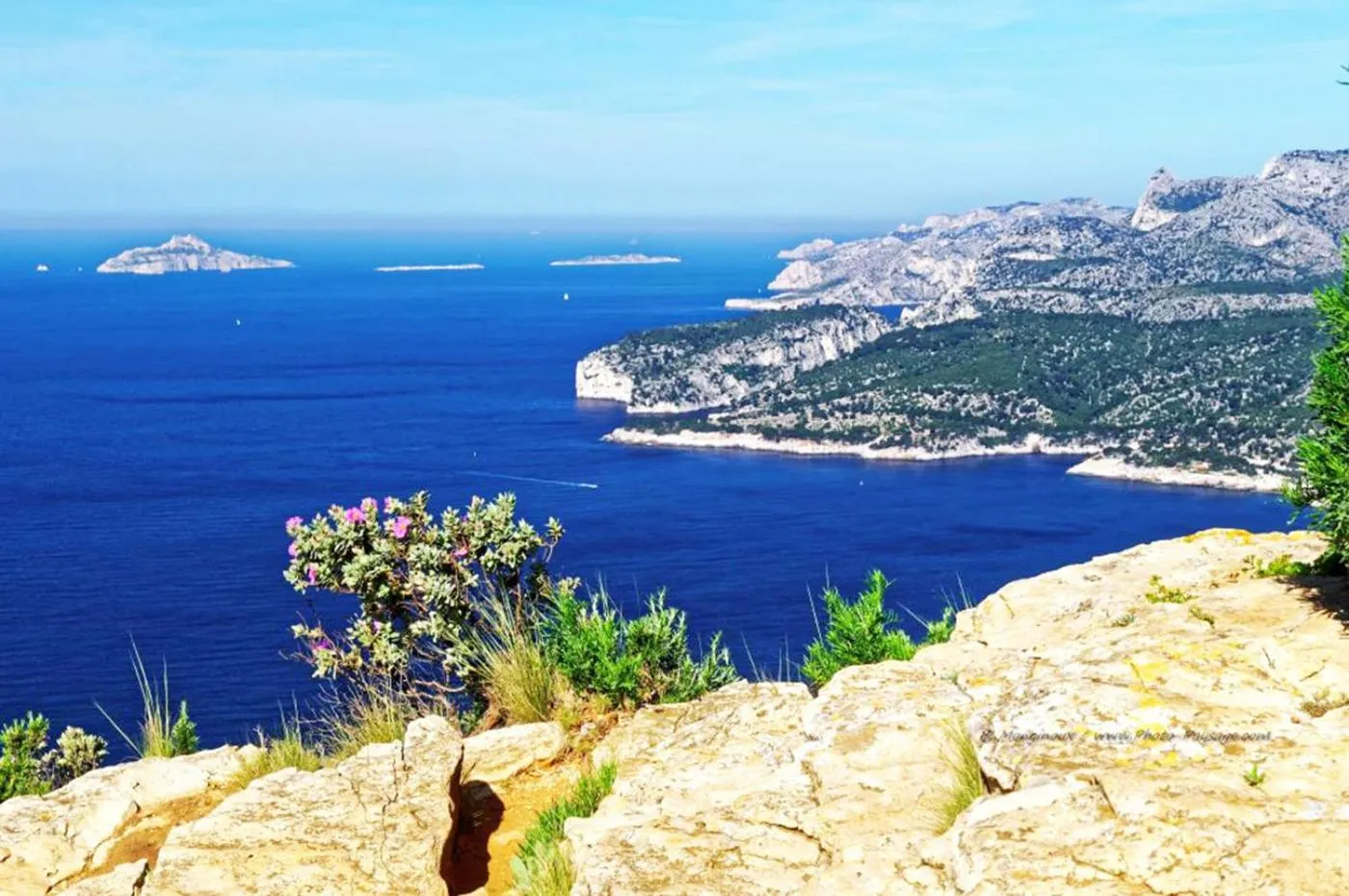 Natural landscape in THE ADDRESS CASSIS
