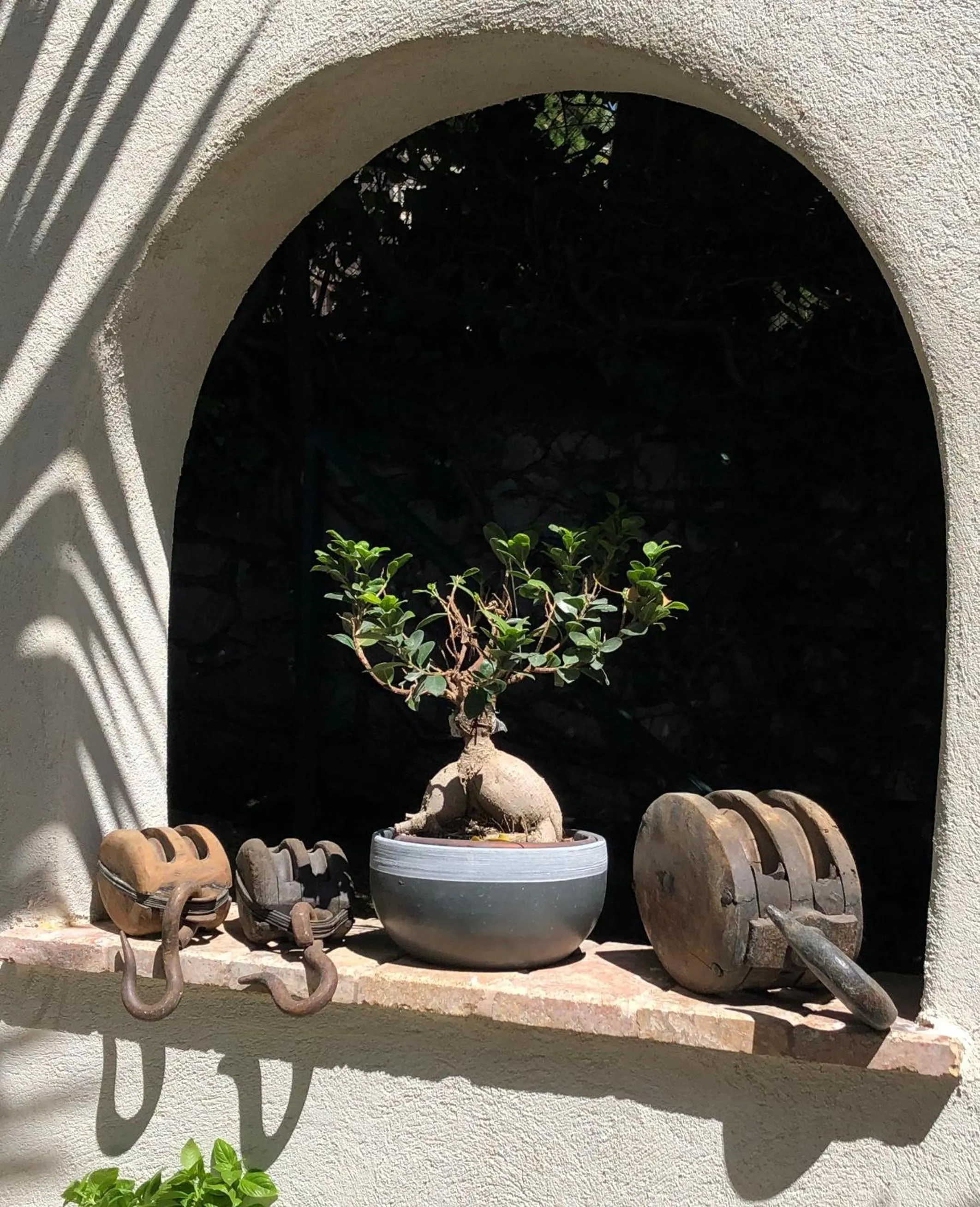 Patio in THE ADDRESS CASSIS
