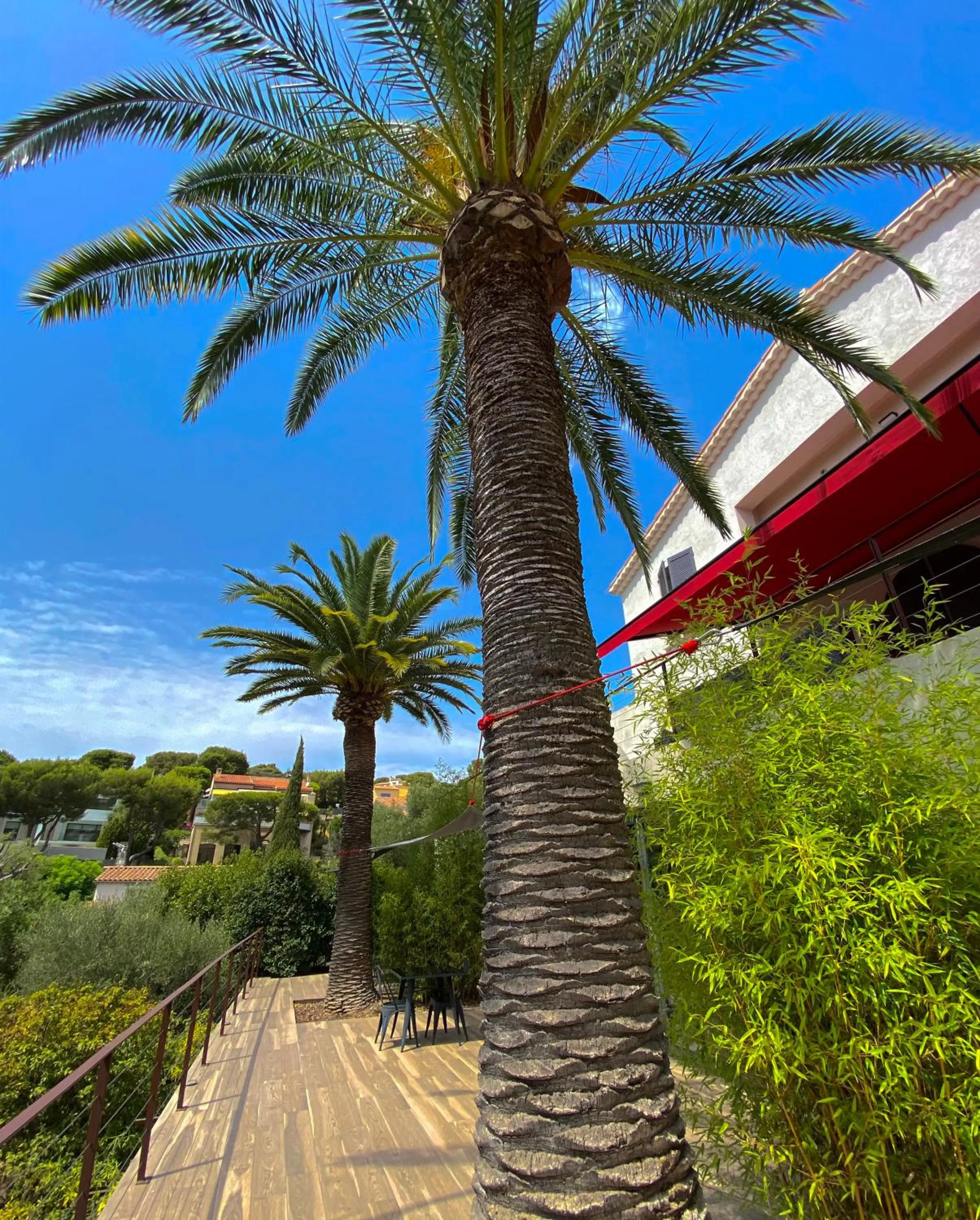 Garden in THE ADDRESS CASSIS