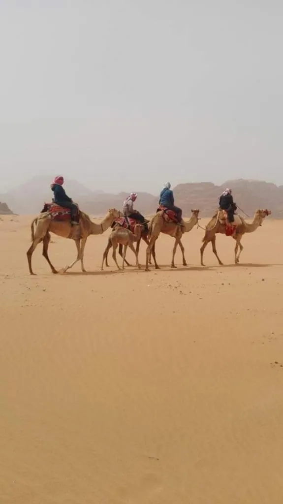 WADI RUM-Bedouin Tents and Jeep Tours