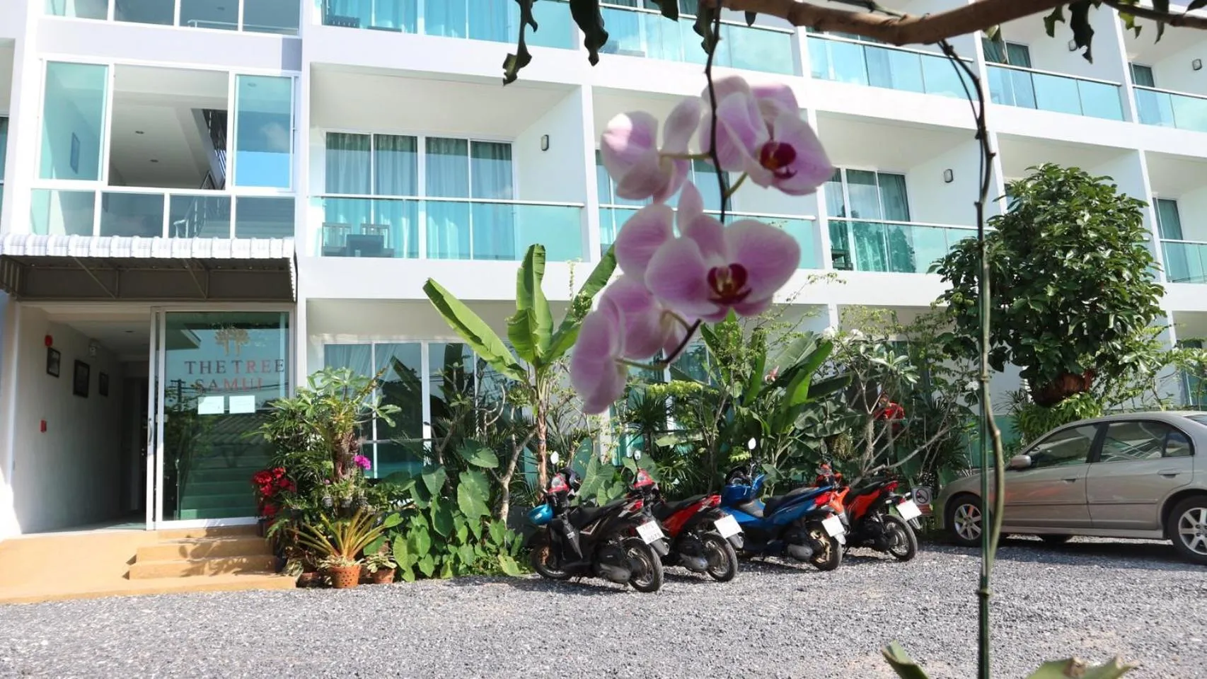 The Tree Samui