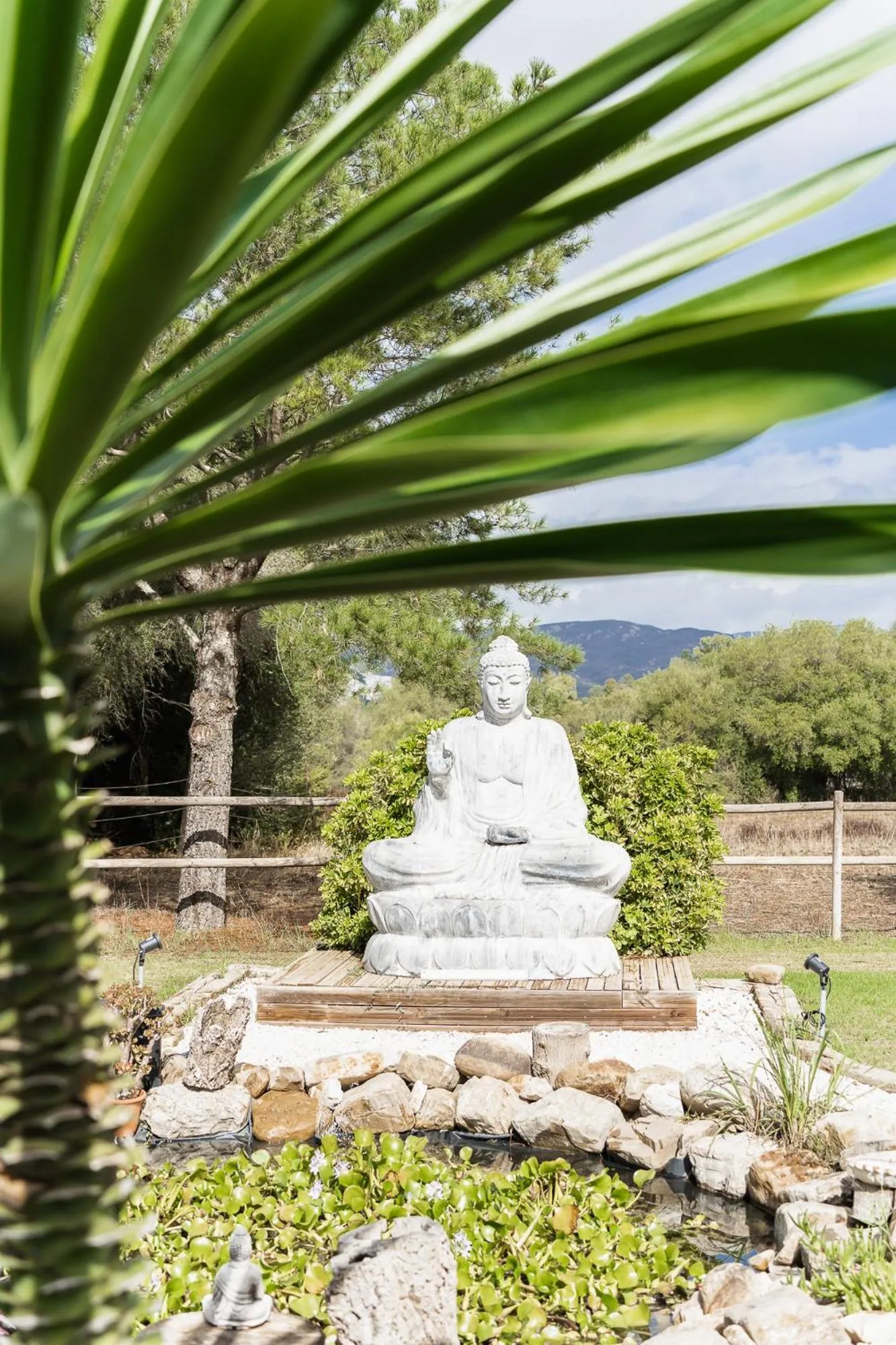Balcony/Terrace in Boutique Hotel Rancho Los Lobos
