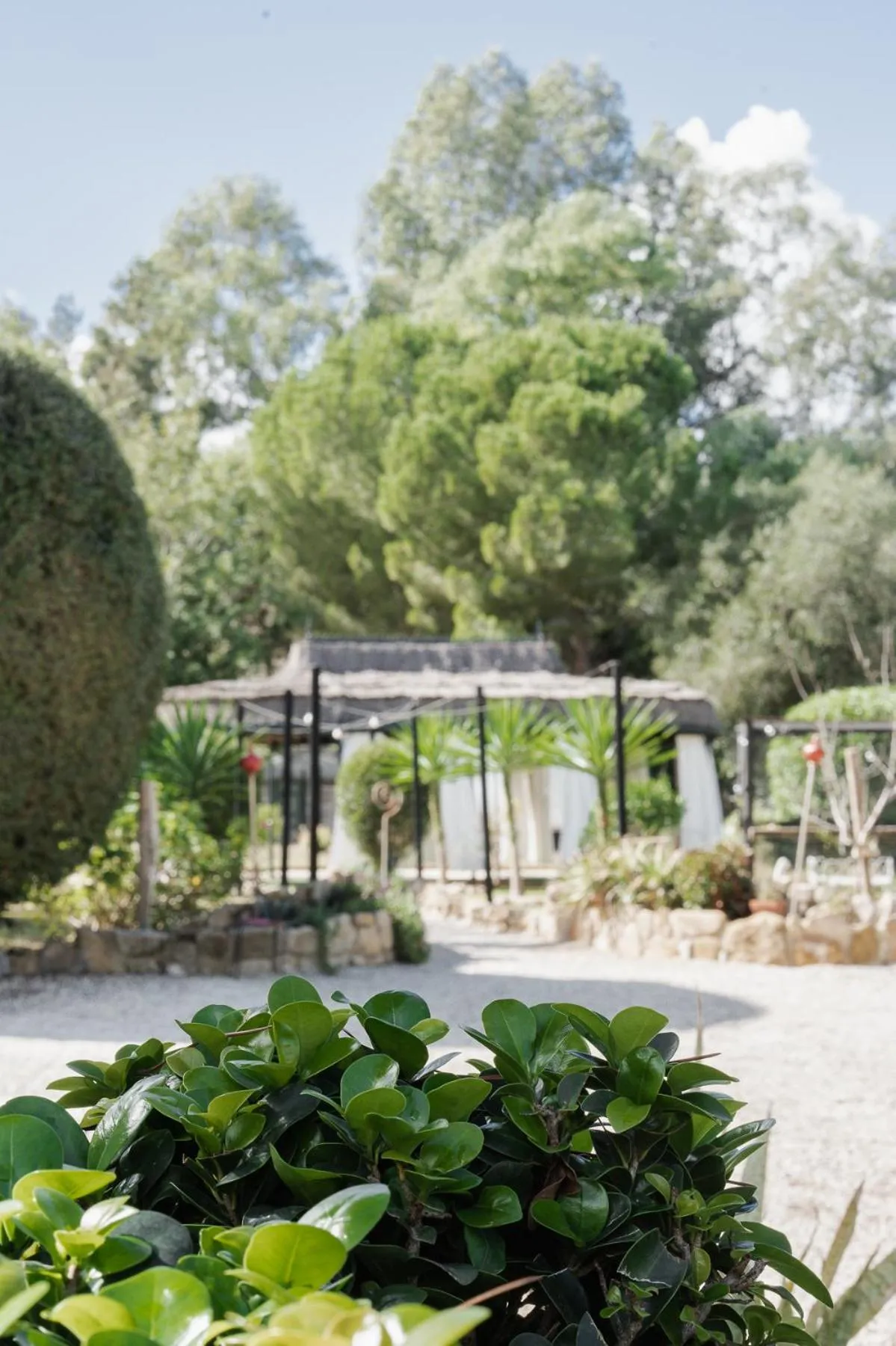 Garden in Boutique Hotel Rancho Los Lobos