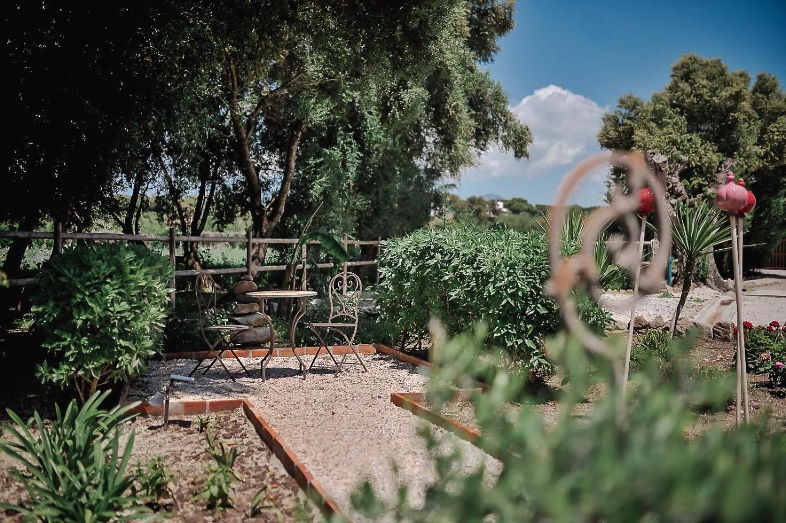 Garden in Boutique Hotel Rancho Los Lobos