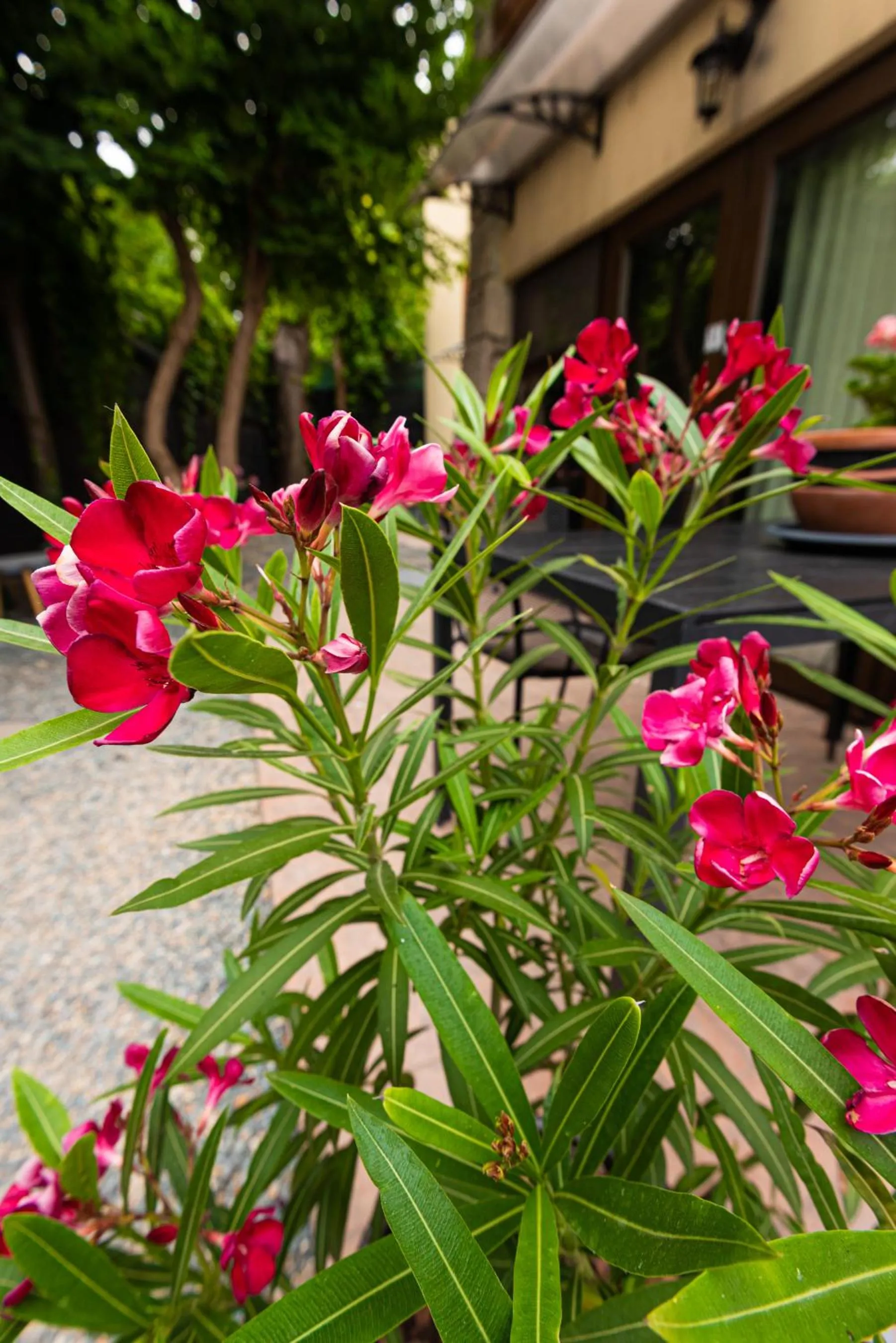 iVAVev IS US ByTheSea EforieSud