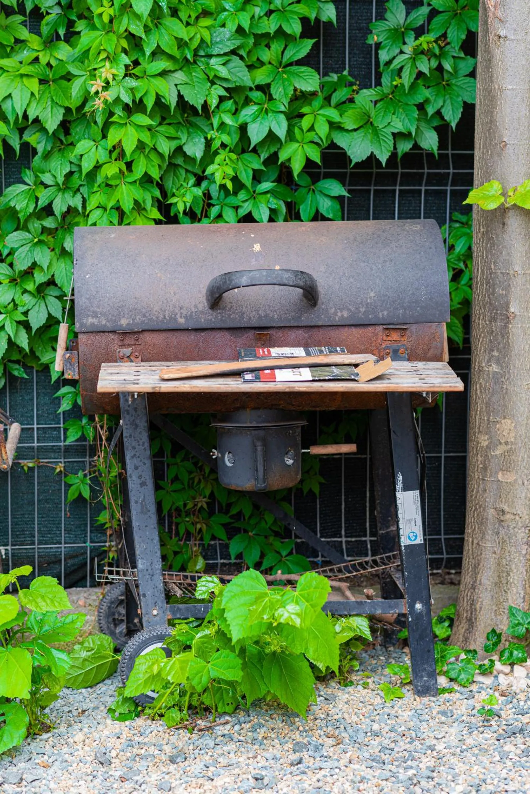 iVAVev IS US ByTheSea EforieSud