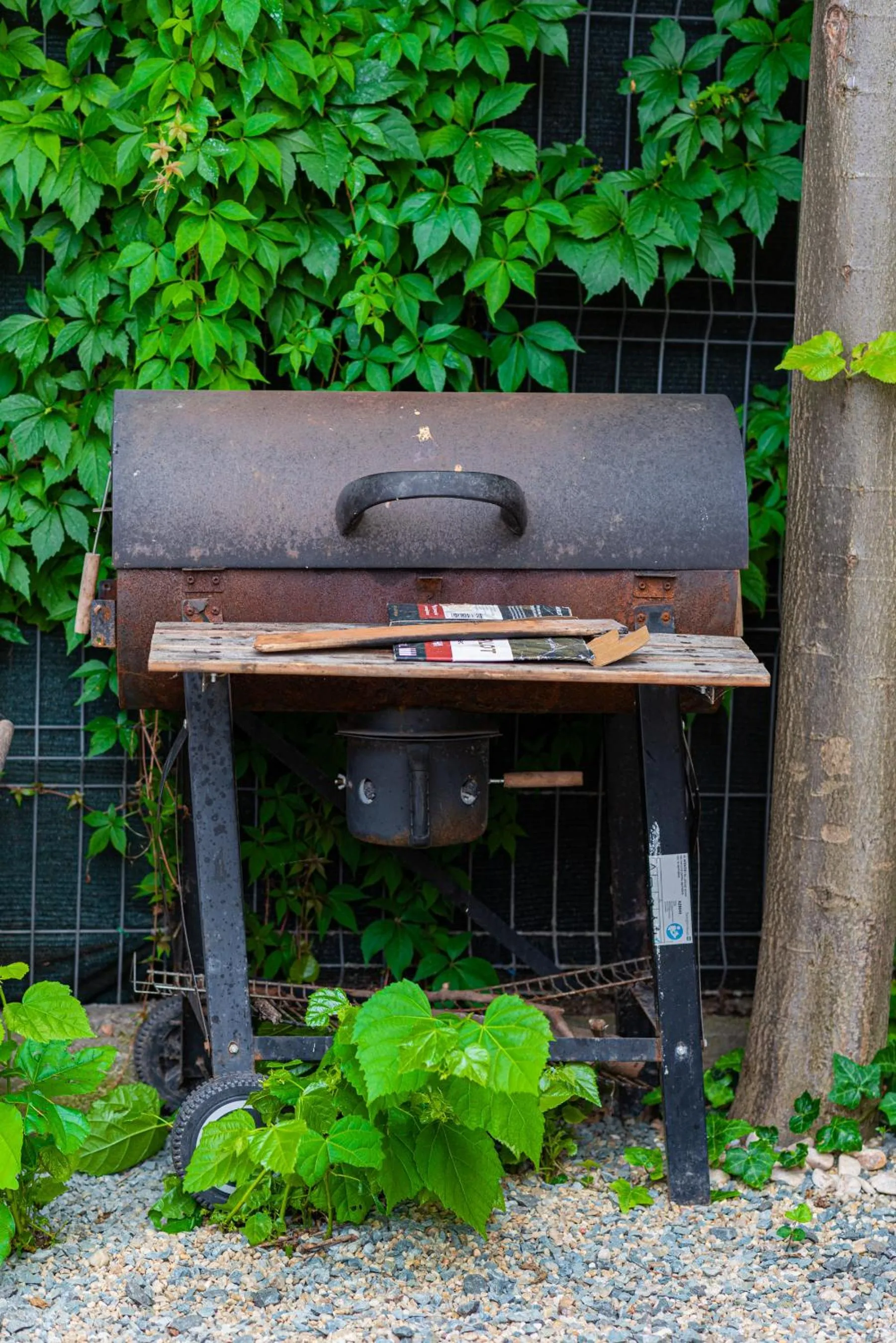 iVAVev IS US ByTheSea EforieSud