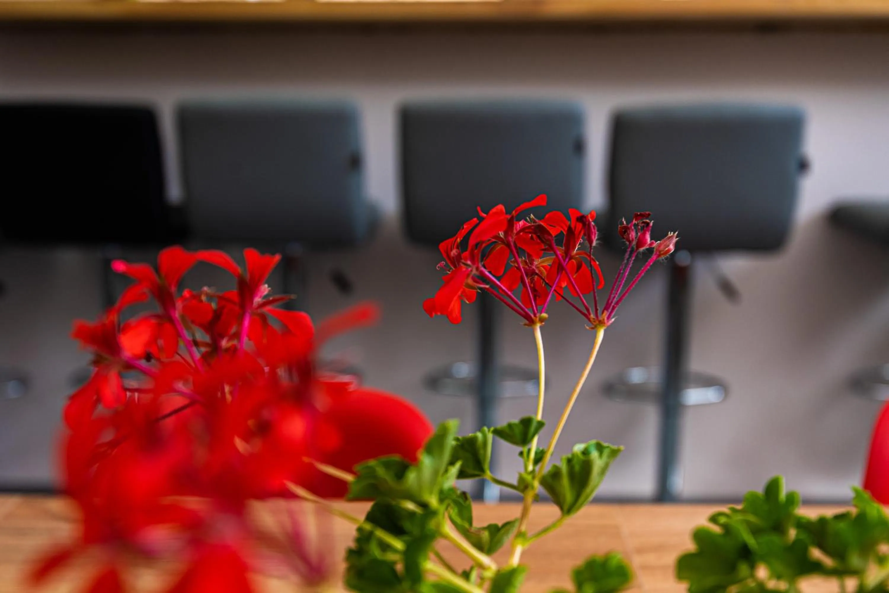 iVAVev IS US ByTheSea EforieSud