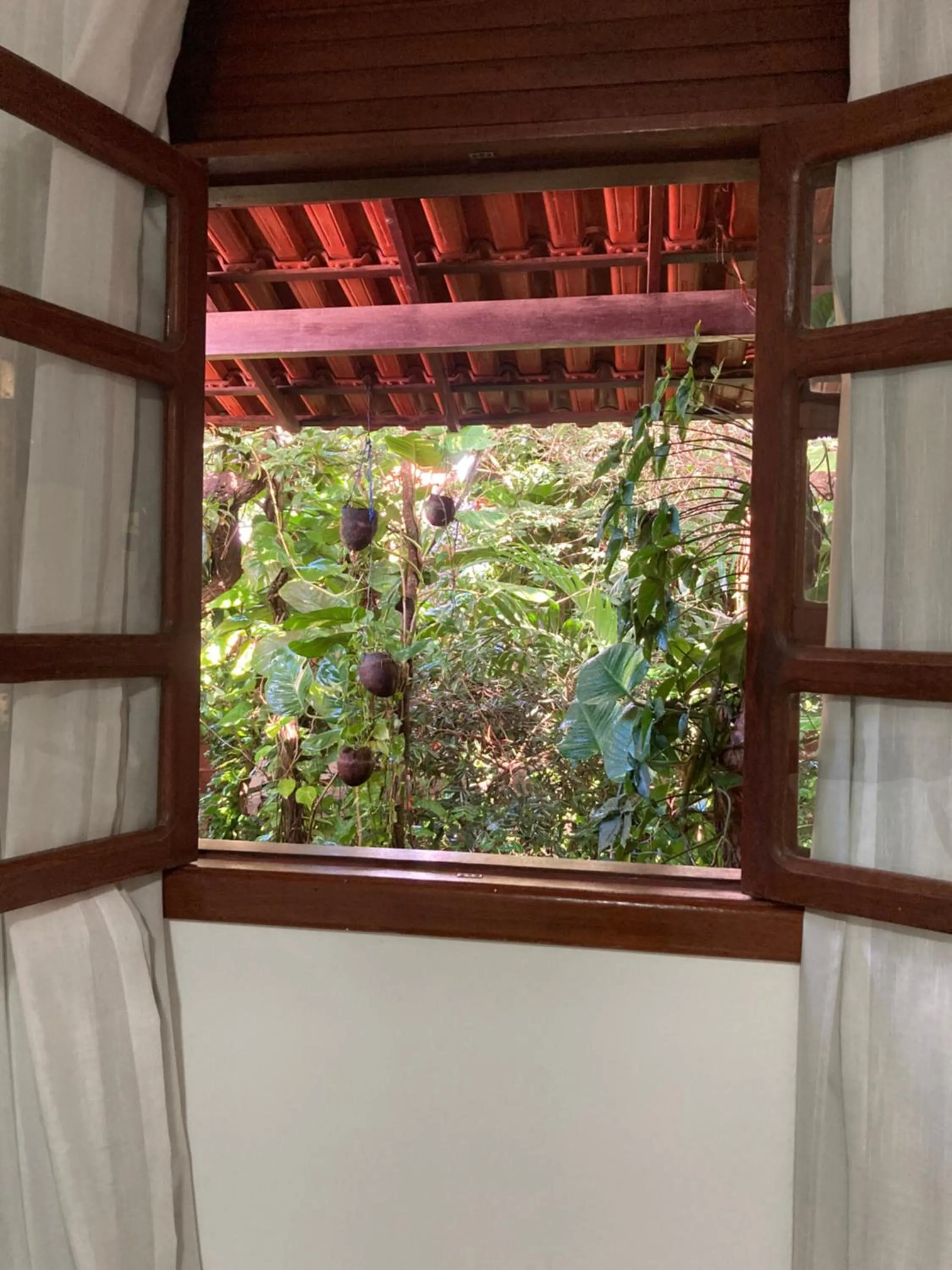 Pousada Pau Brasil Ubu