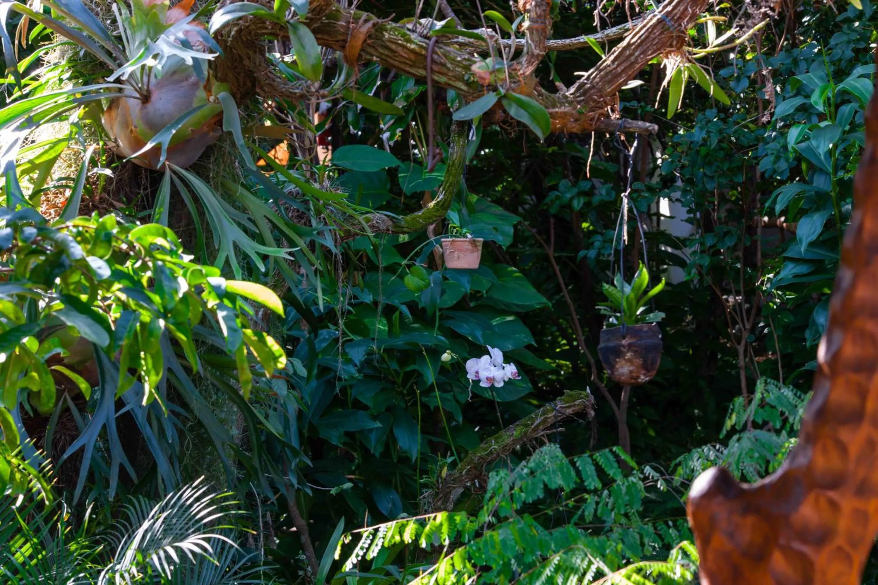 Garden in Pousada Pau Brasil Ubu